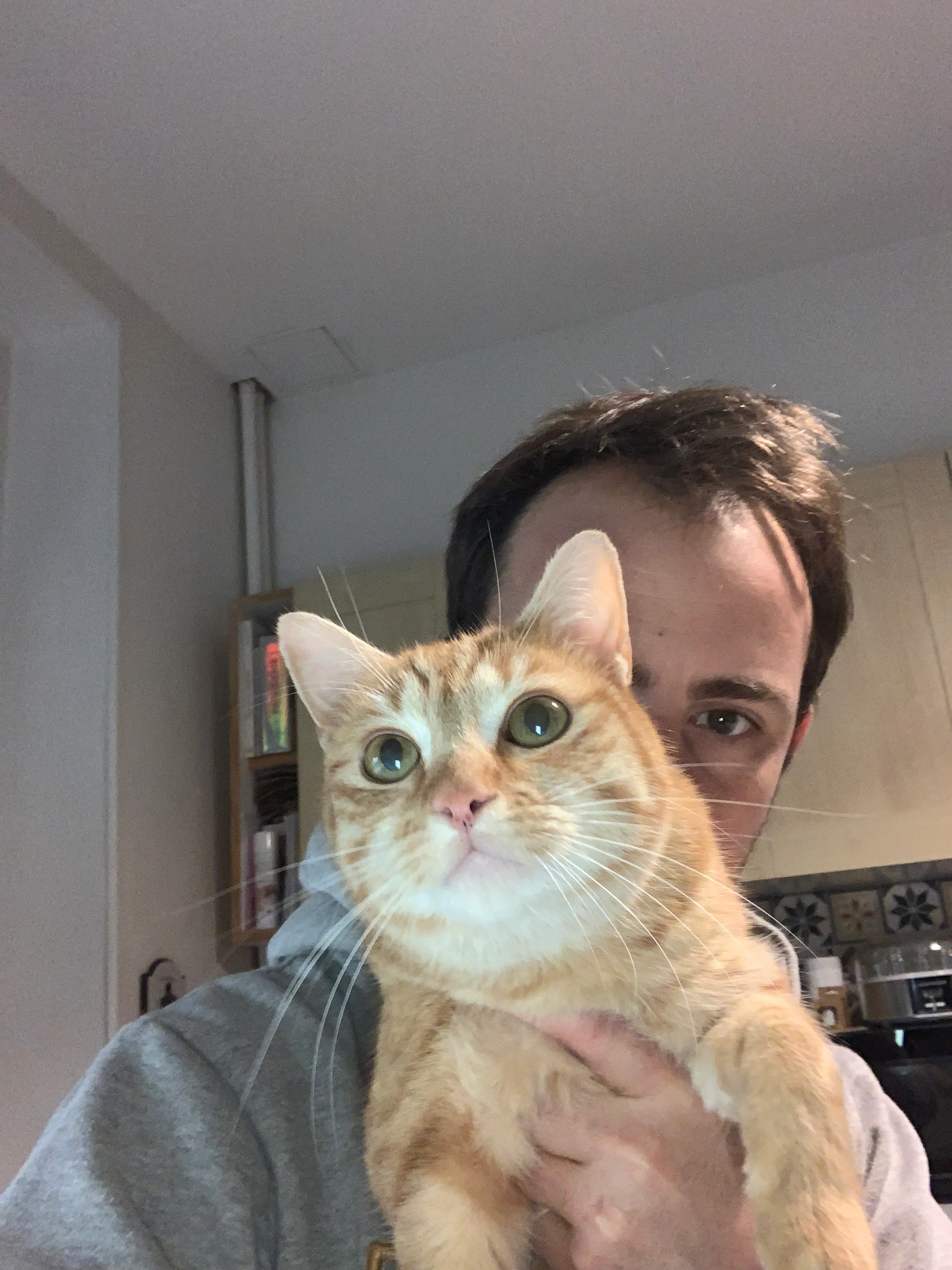 Toulouse  - 161 Faubourg du Grand Mouësse, Nevers