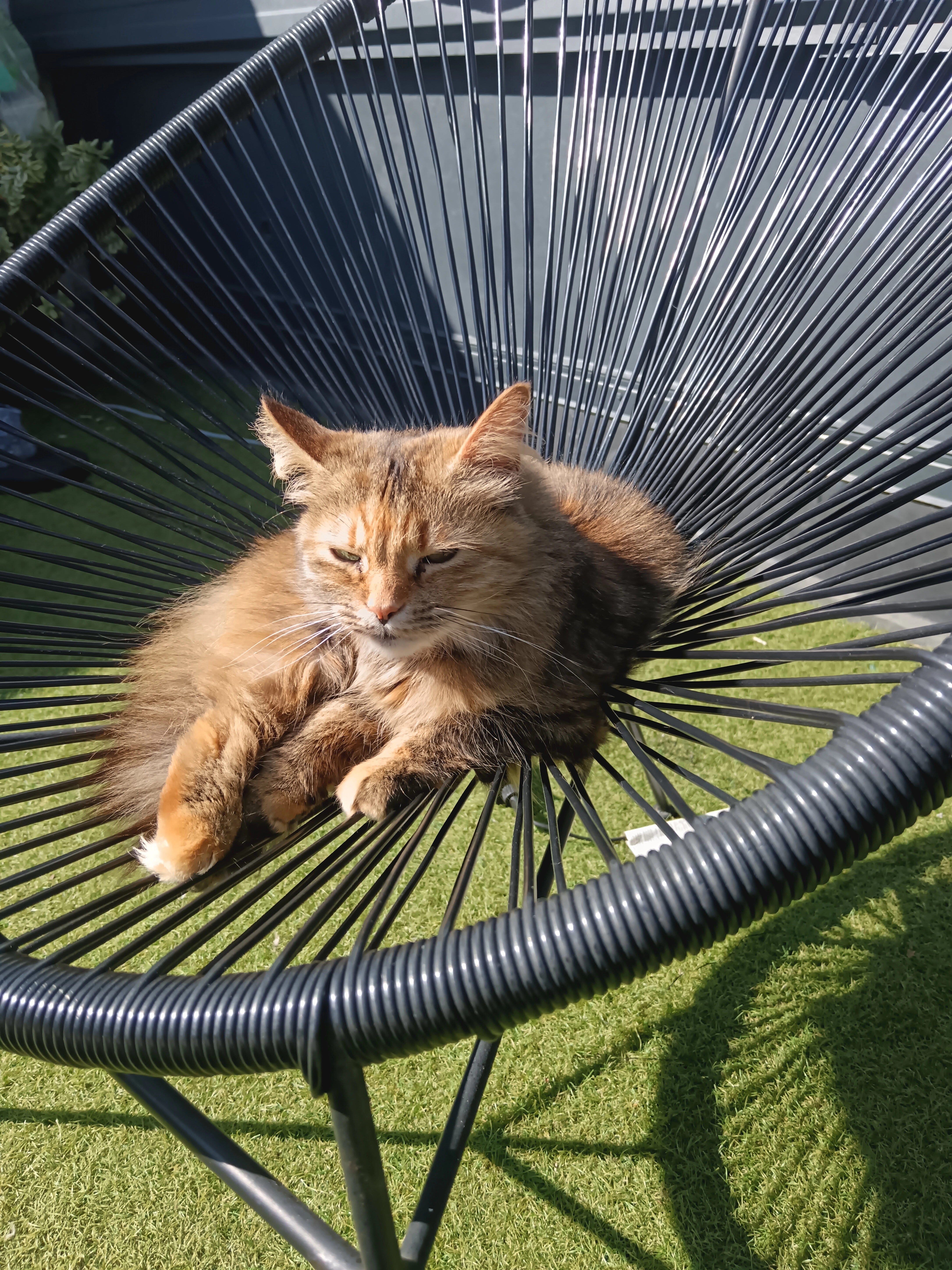 NANA - 40 Rue Saint-Michel, Pontorson