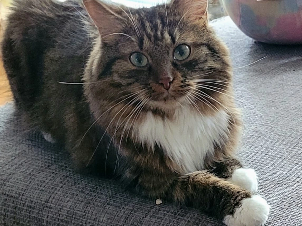 Kiran - Morzger Straße, Salzburg