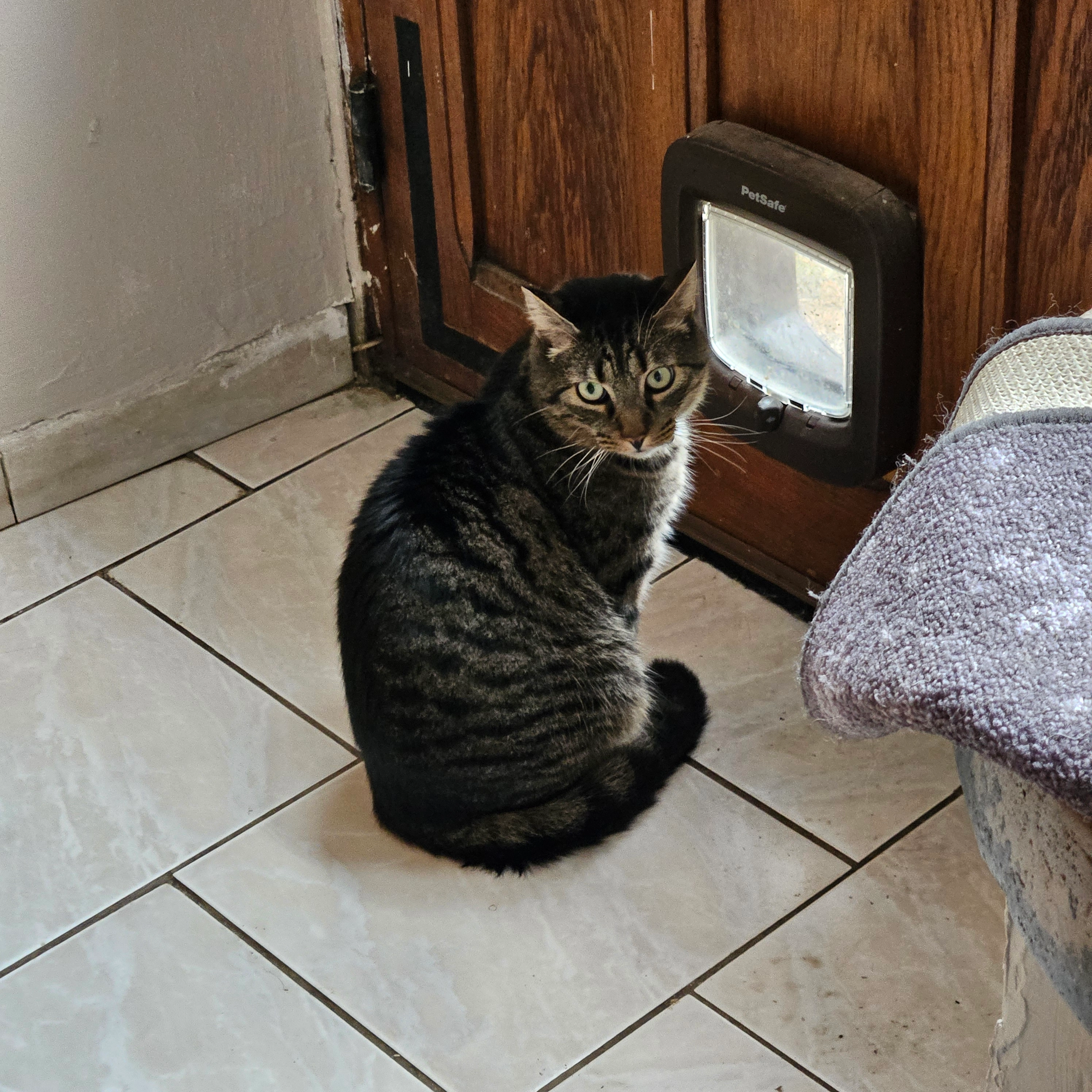 Grim - Grande Rue, Hyémondans