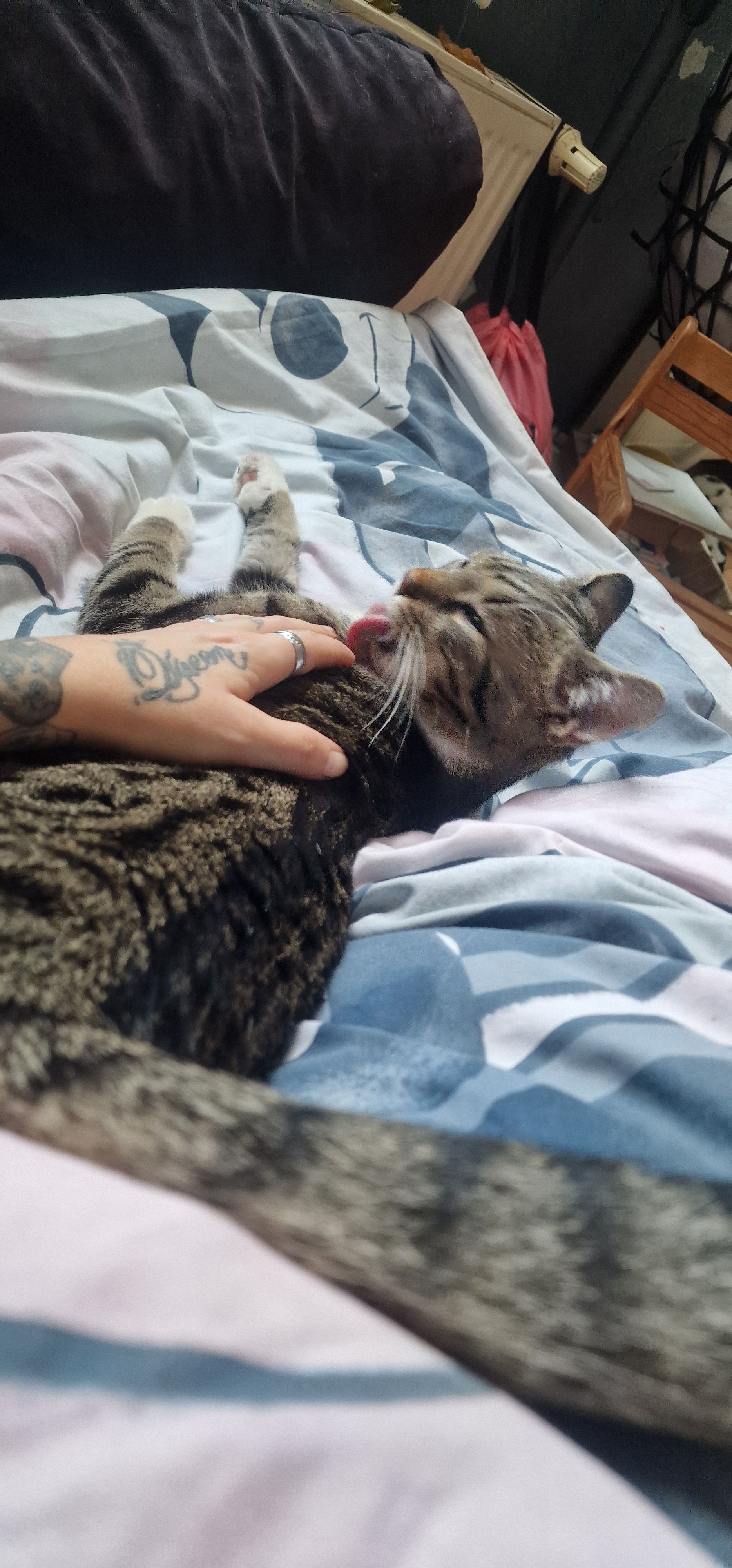 Mike - Köbelner Straße 14, Bad Muskau