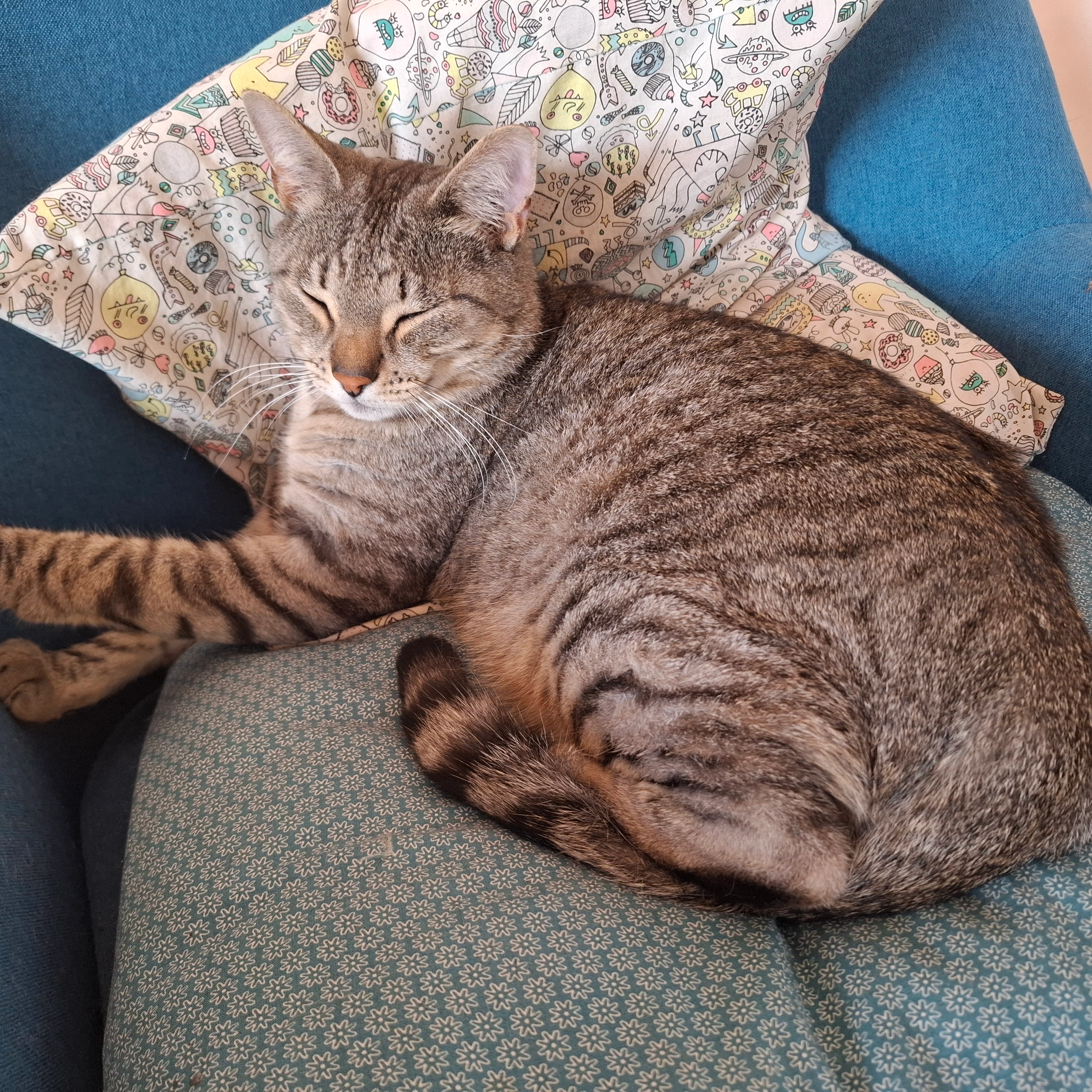 mallow - Chemin De La Boisbonnière, Nantes