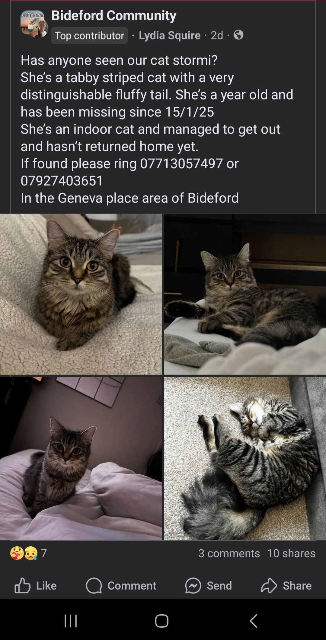 Stormi - EX39 3, Bideford