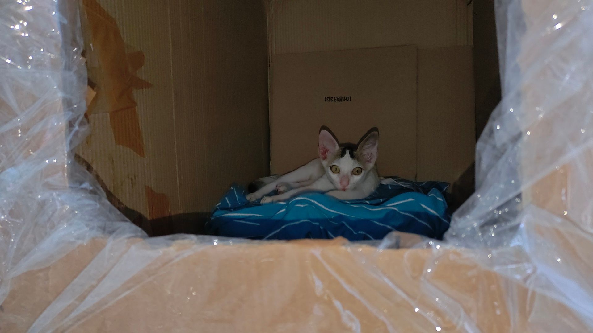 Cutu - Nh18, Jamshedpur