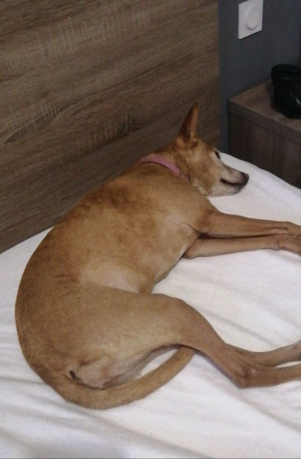 Floride - Allée Du Lac, Lyon