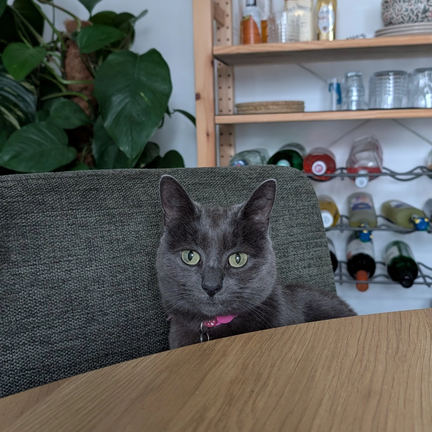 Phoebe - Silkstone Road, Pontefract