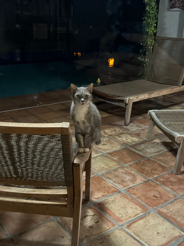 Sasha - 20870 Soneto Dr, Boca Raton