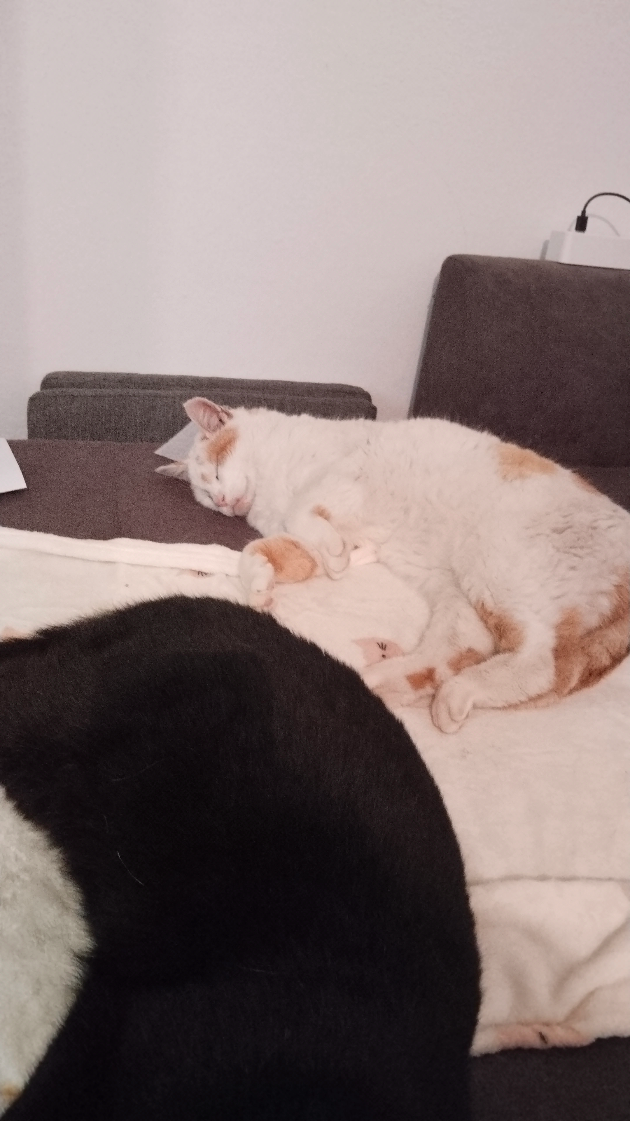 Wolke - Loachweg 4, Stumm