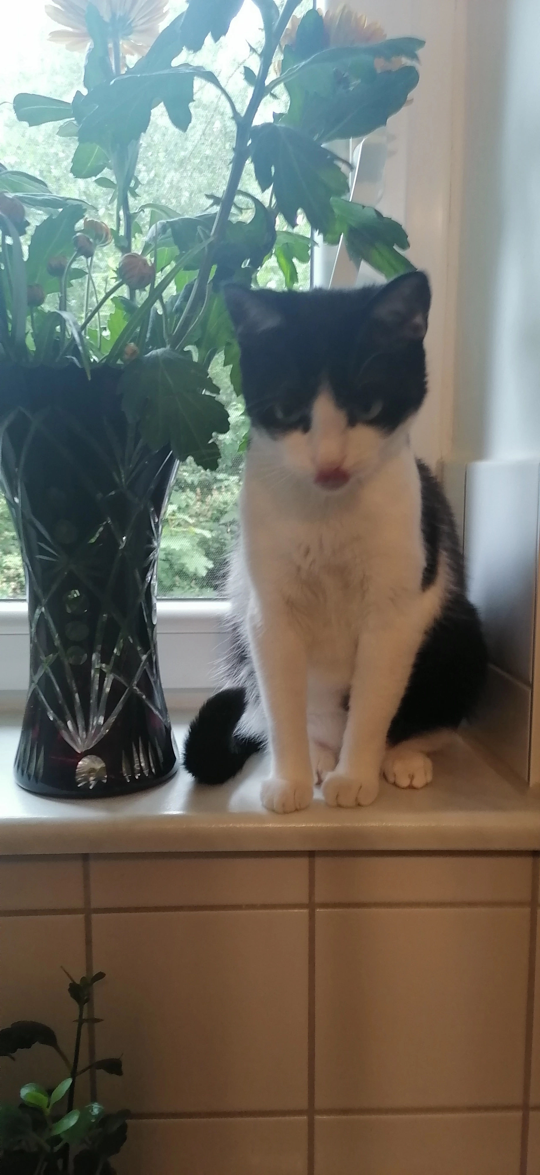 Mitzi - Eythstraße, Vöhringen