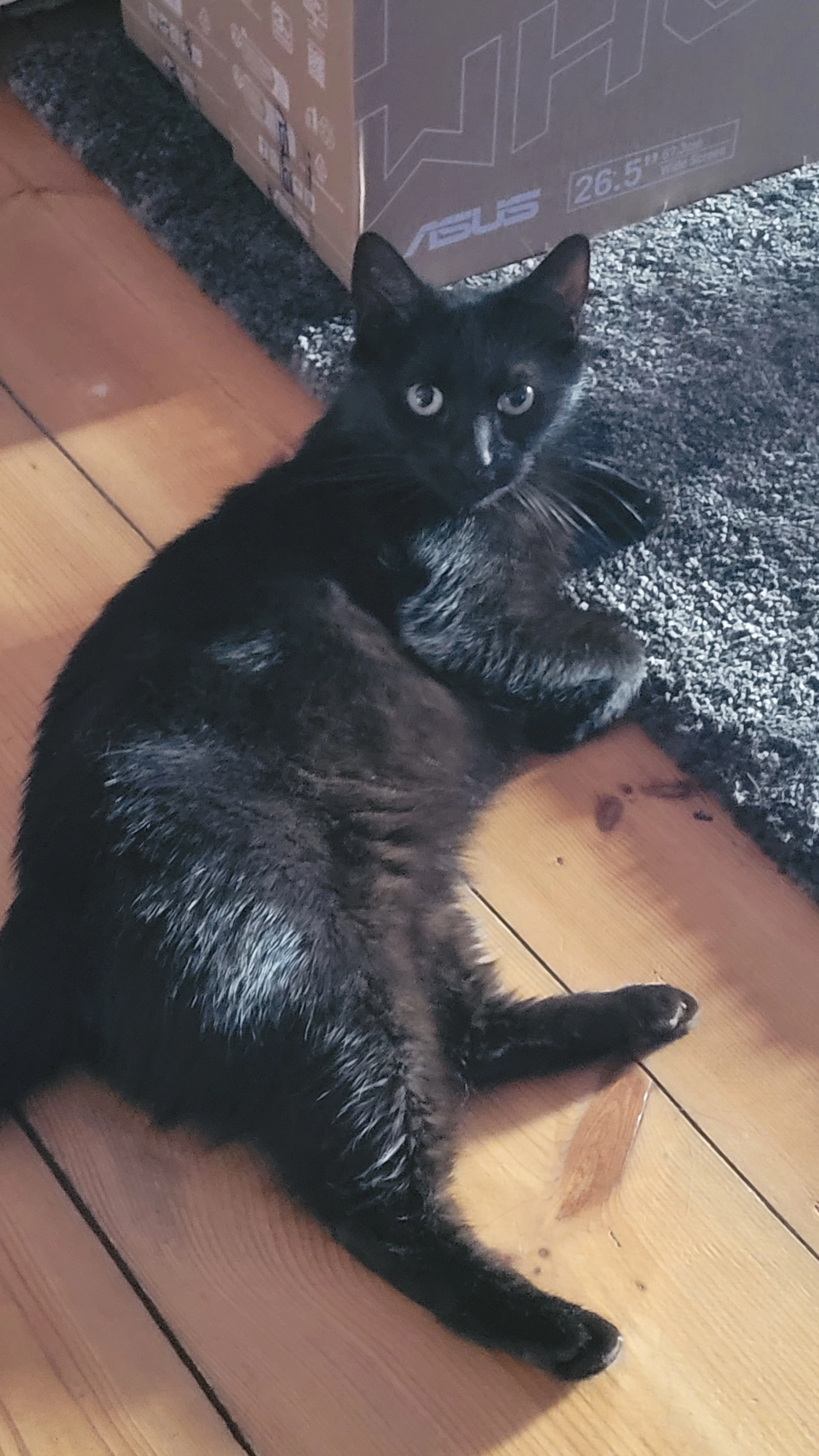 Millie - Bielckenweg, Berlin