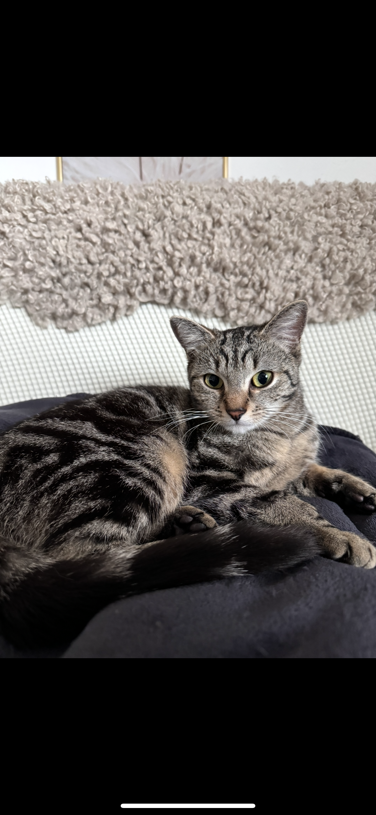 Coco - Zum Brühl, Altrich