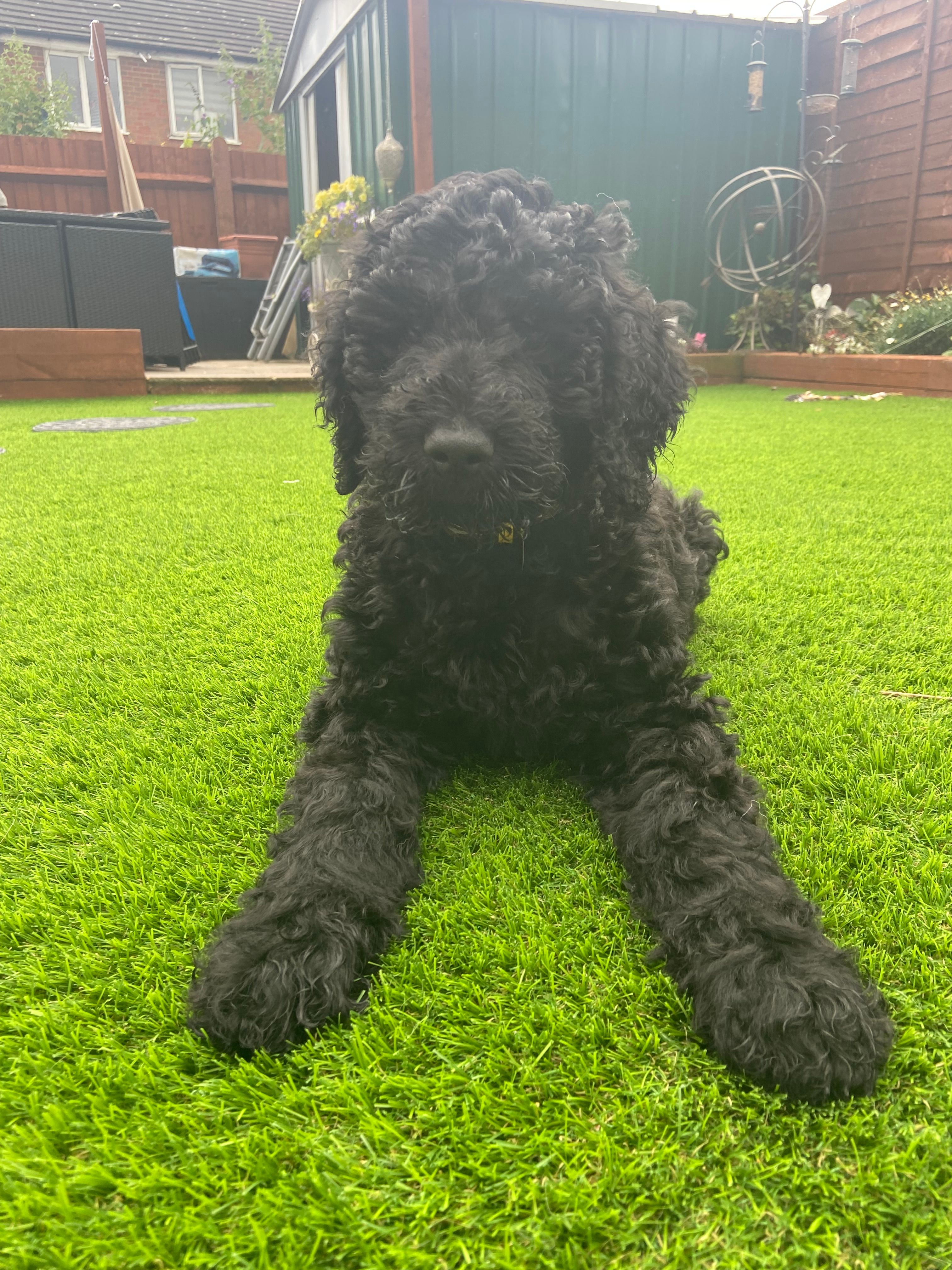 Burt - Hertford Road, Hatfield