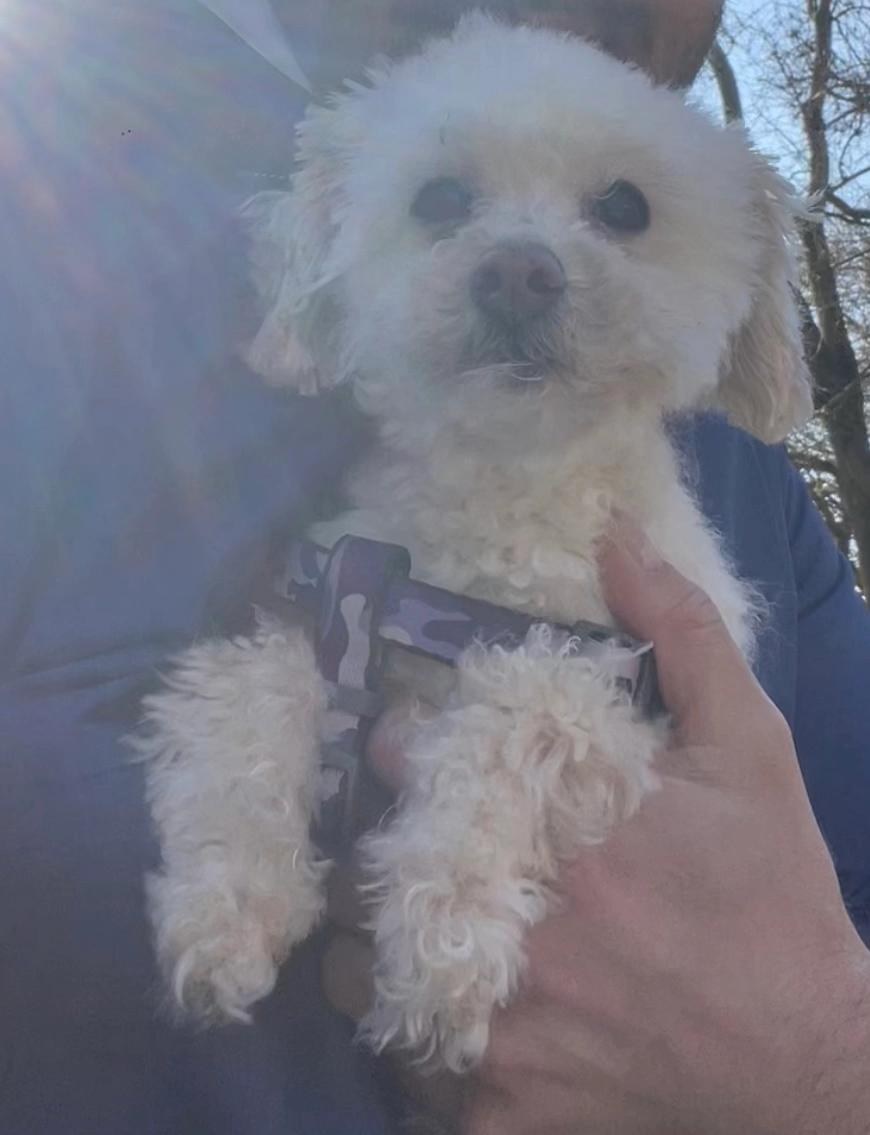 Louisa - Meller Straße, Osnabrück