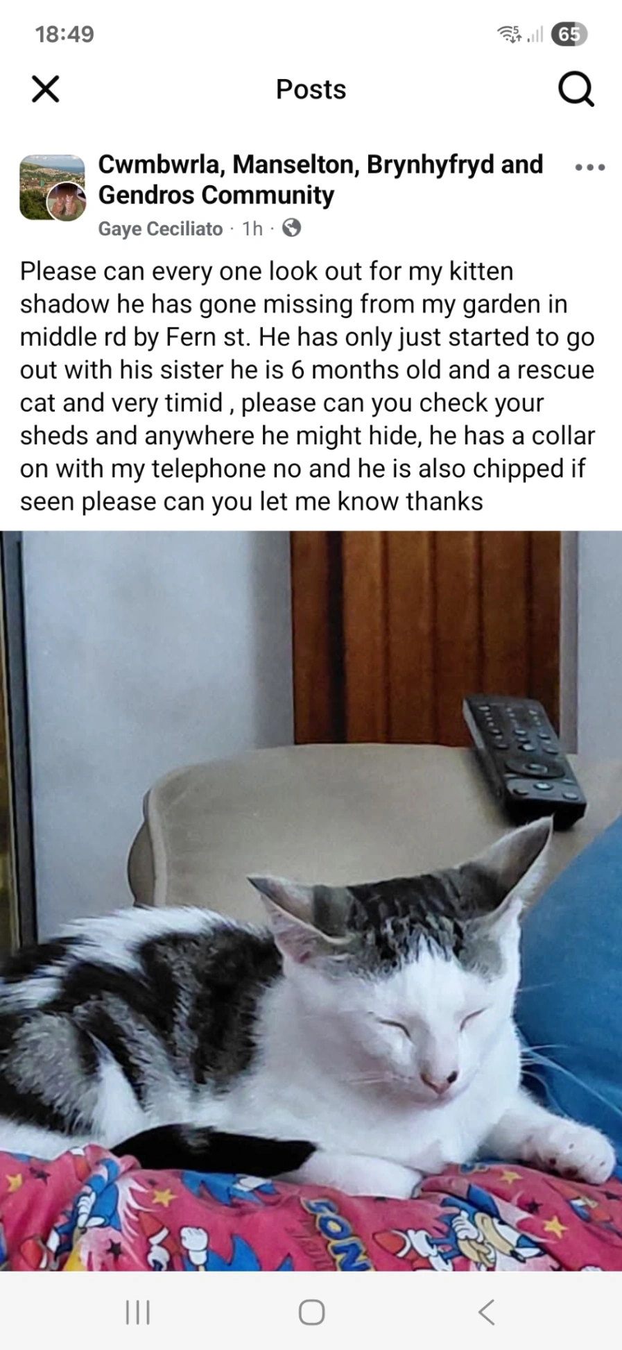 Shadow - Middle Road, Swansea