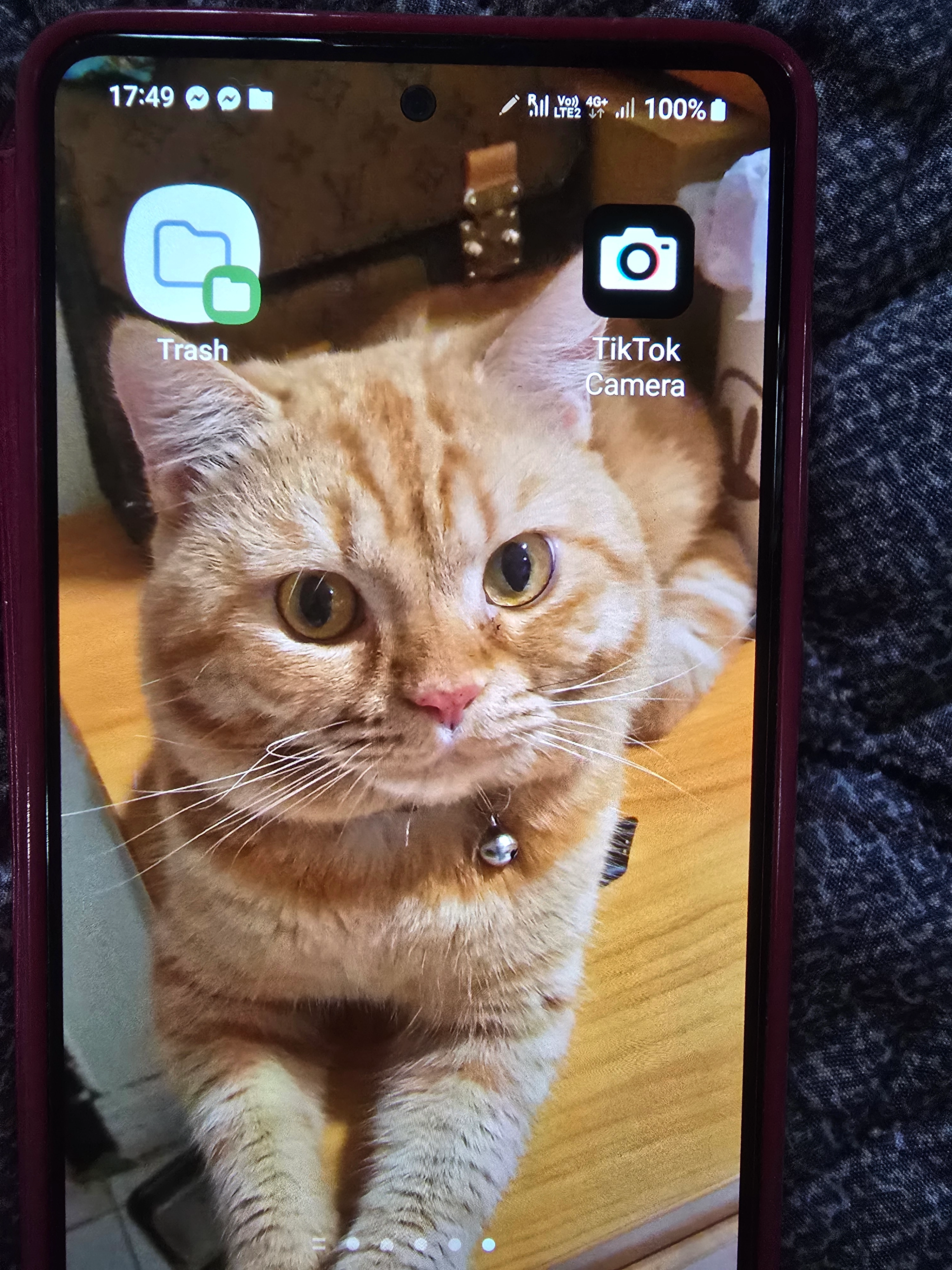 Ginger - Inthanin 4, Pak Kret