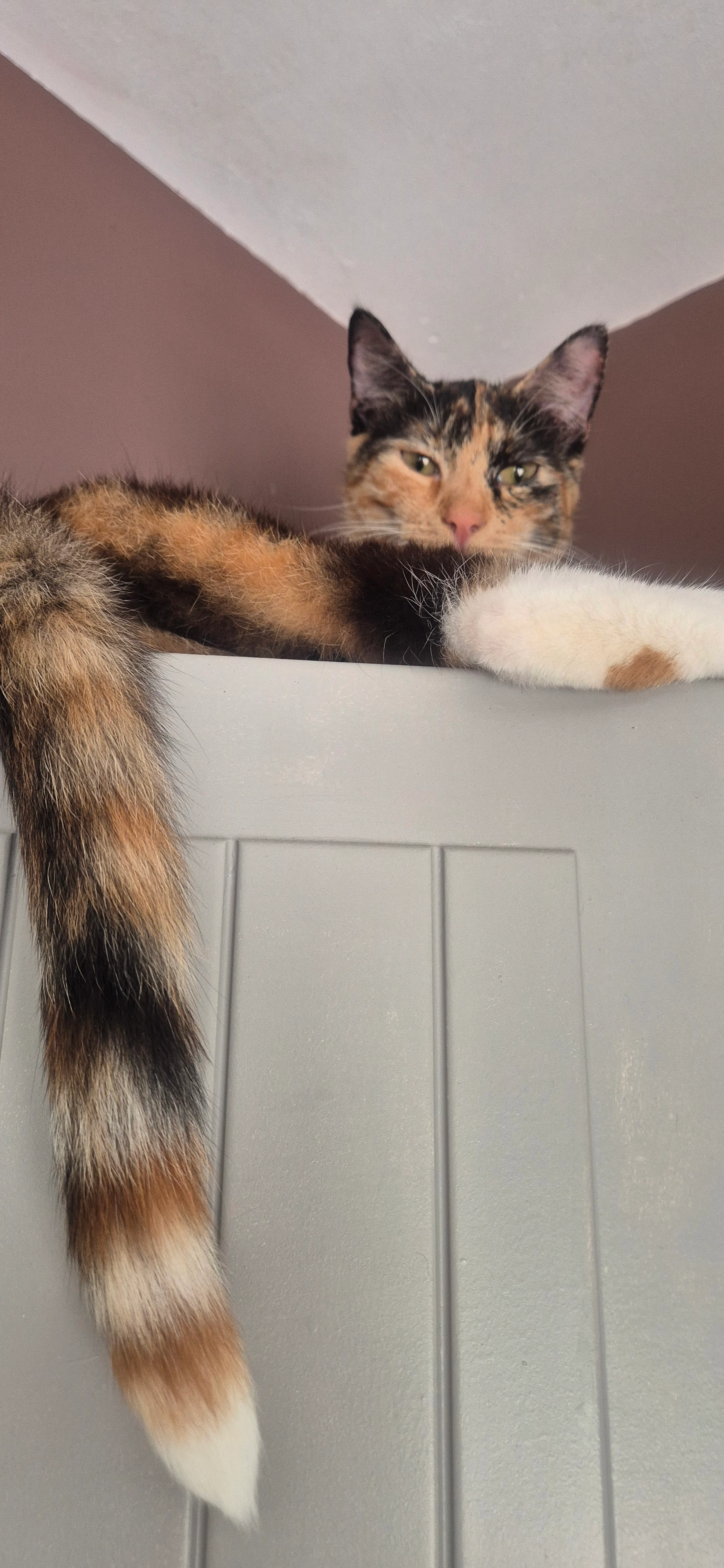 Athina - Grand Chemin, Silly