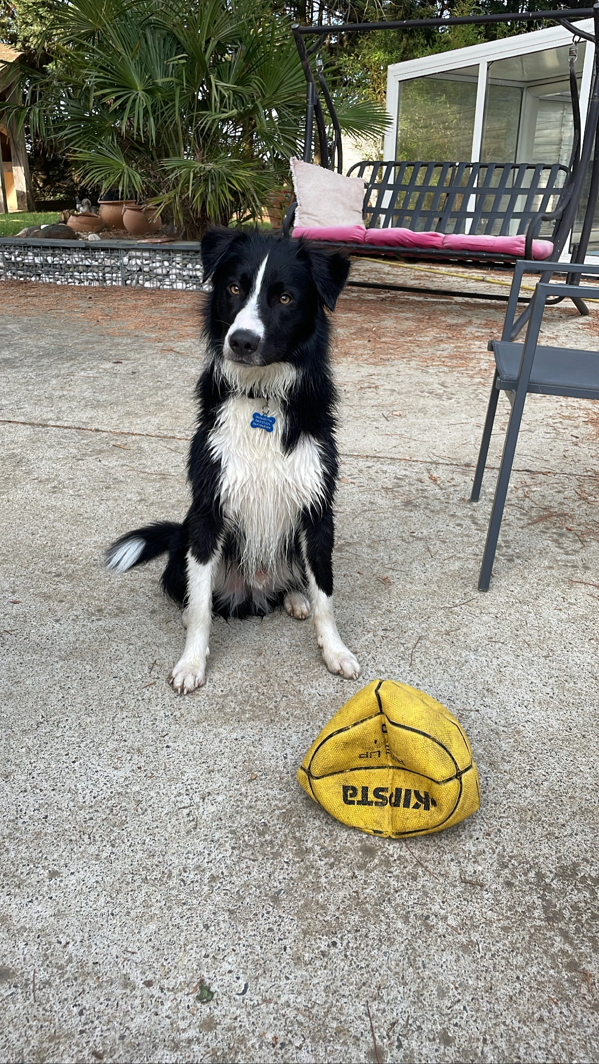 Sky - 28 Route Nationale, Guécélard