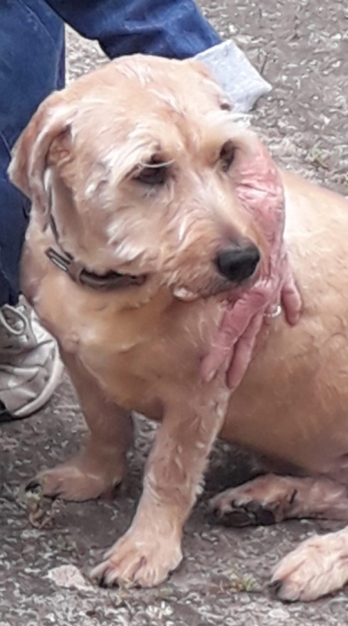 Bonnie - Chemin De La Bonde, Gardanne