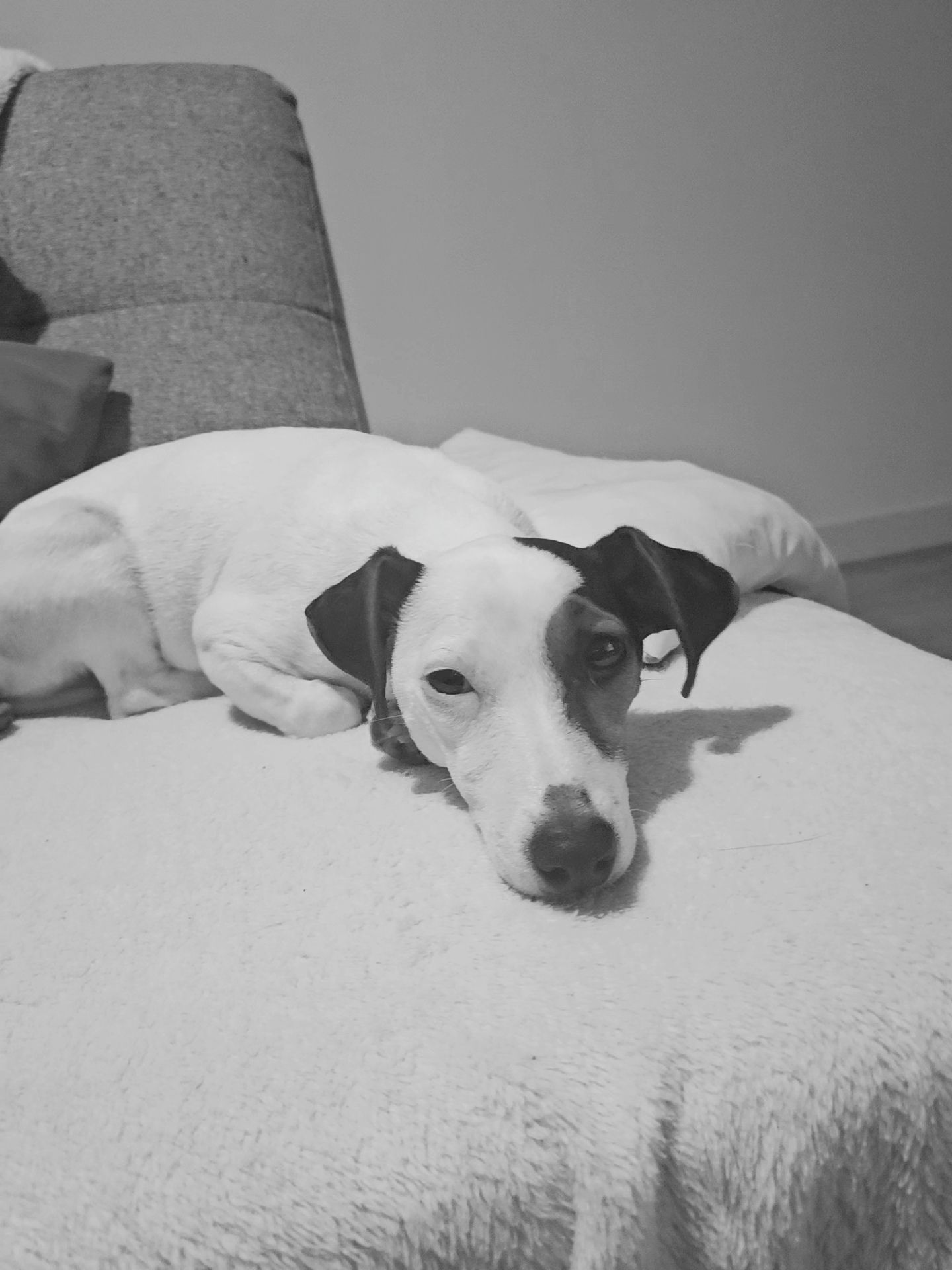 Vicca - Faubourg Casseaux, Beaumont-du-Gâtinais