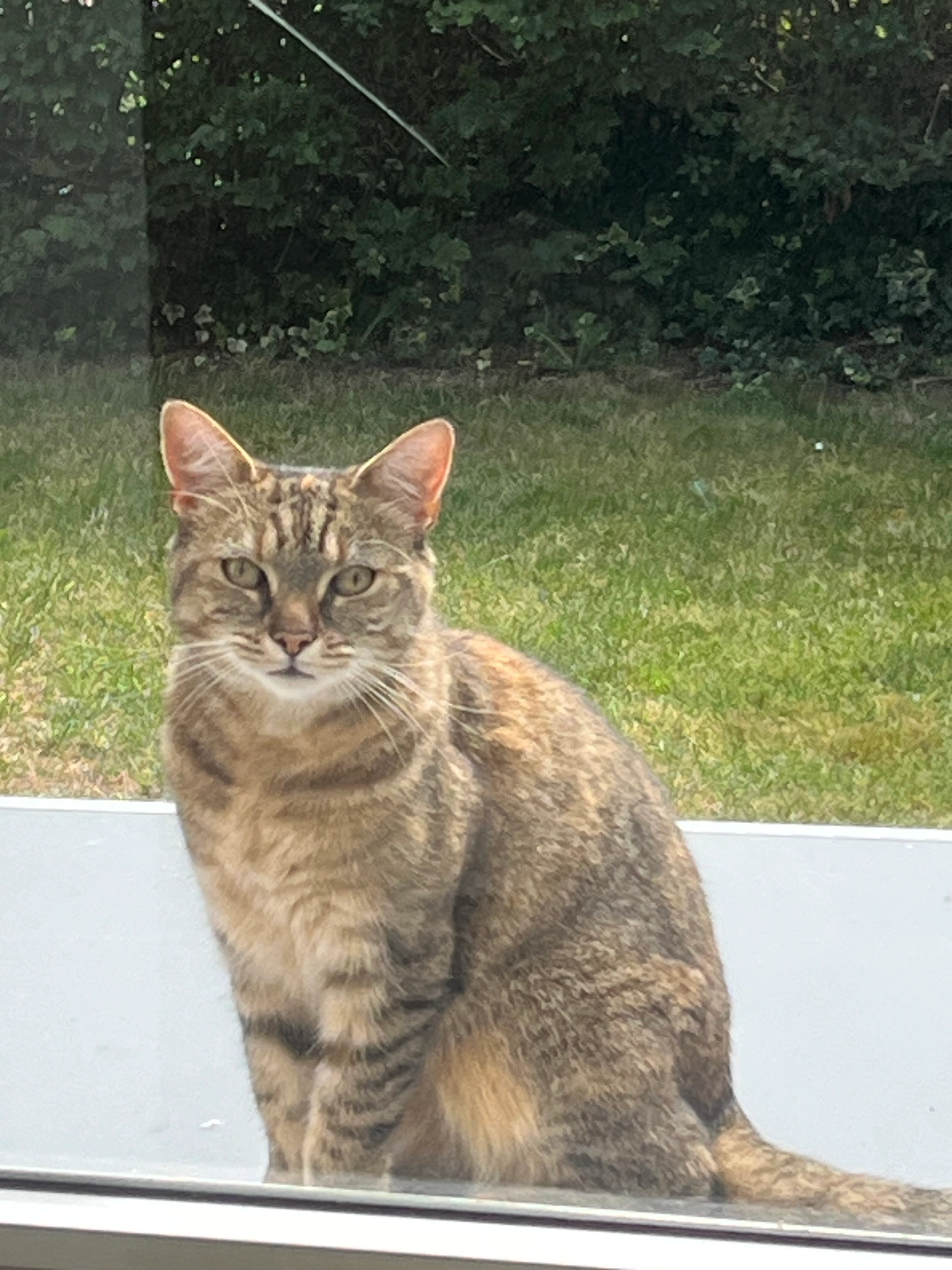 Sarabi - Aarschotsesteenweg, Lier