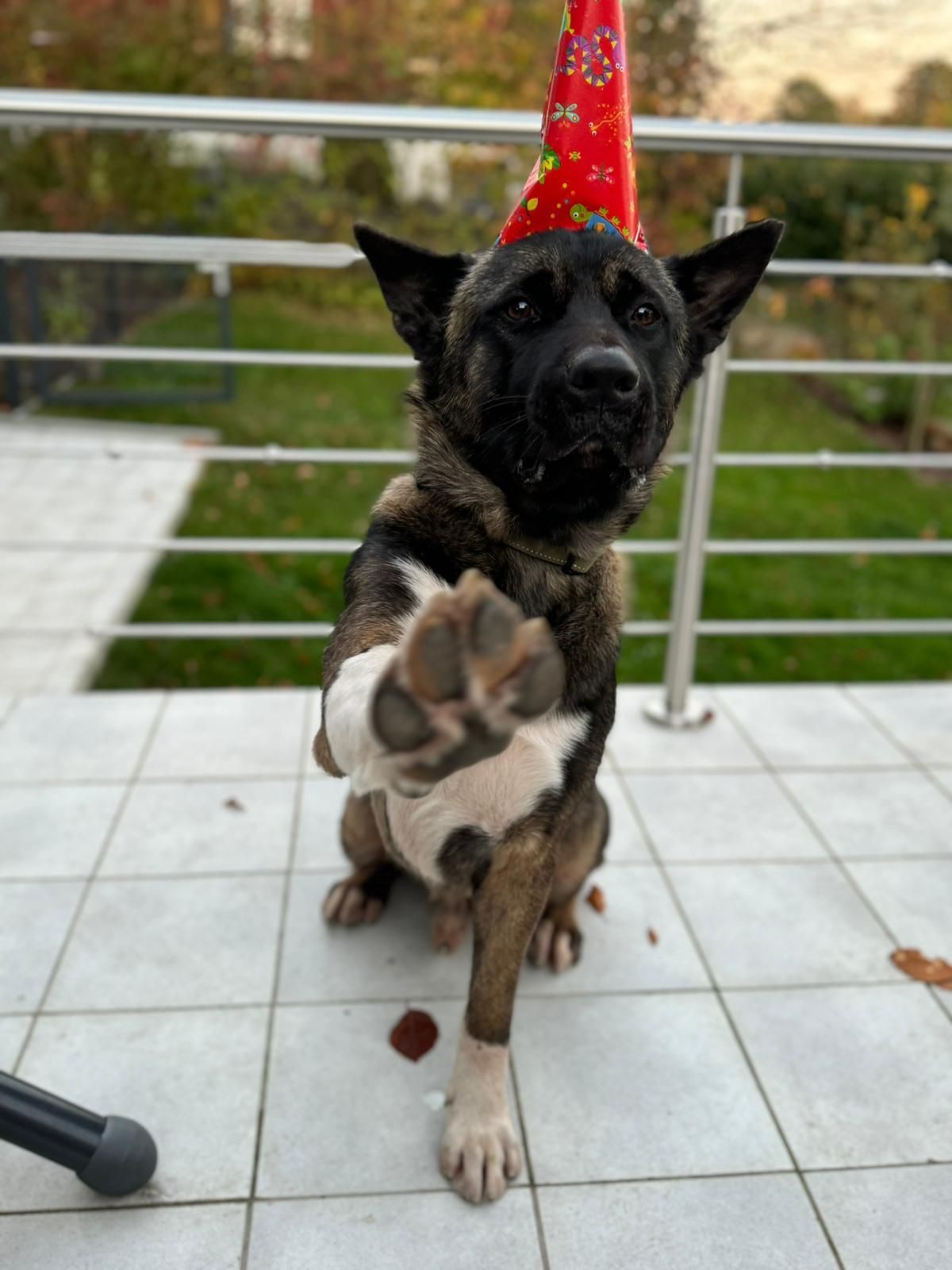 Odin - Höhenweg, Warstein