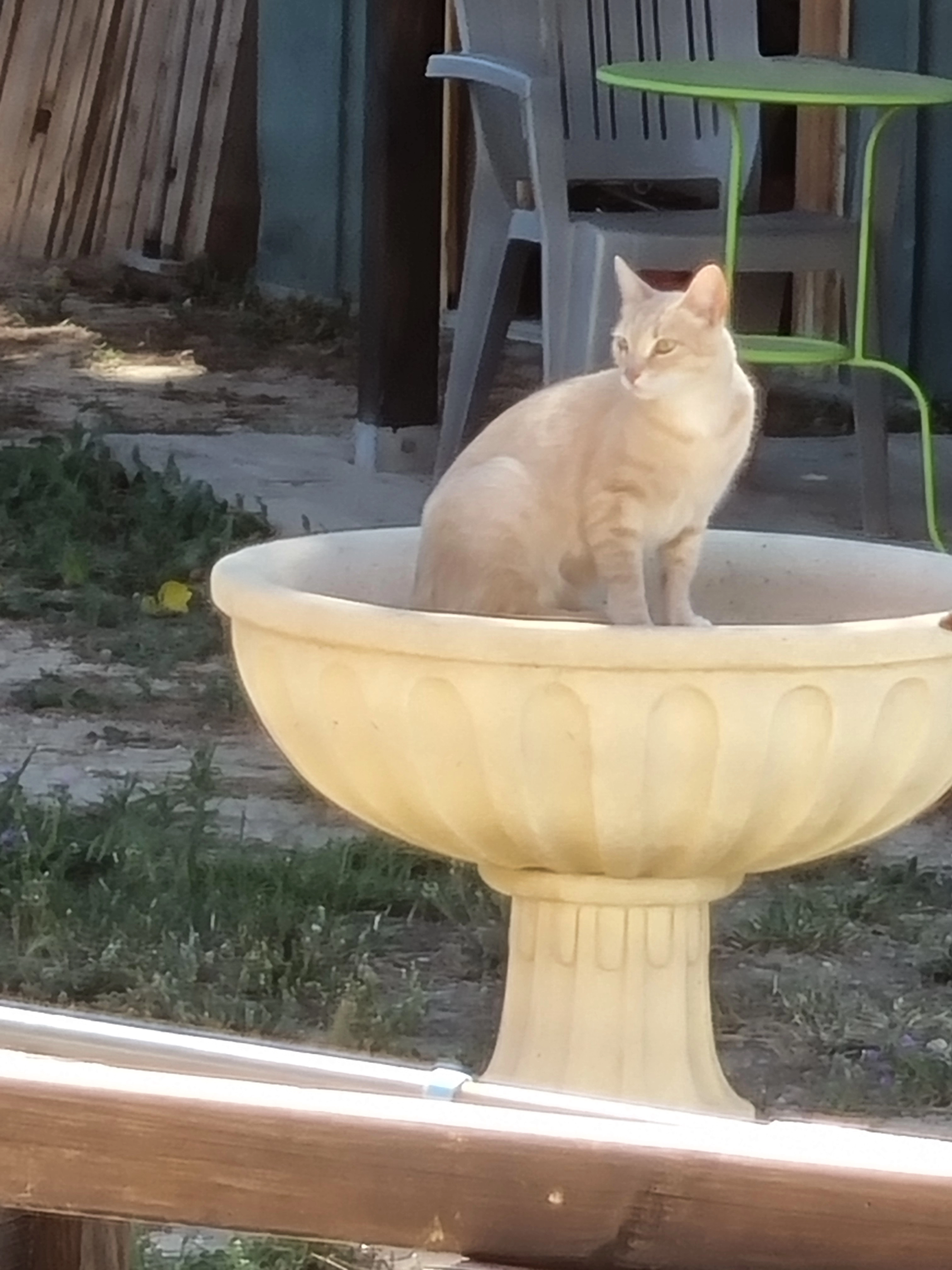 Rocket - Allée Des Tourterelles, Martigues