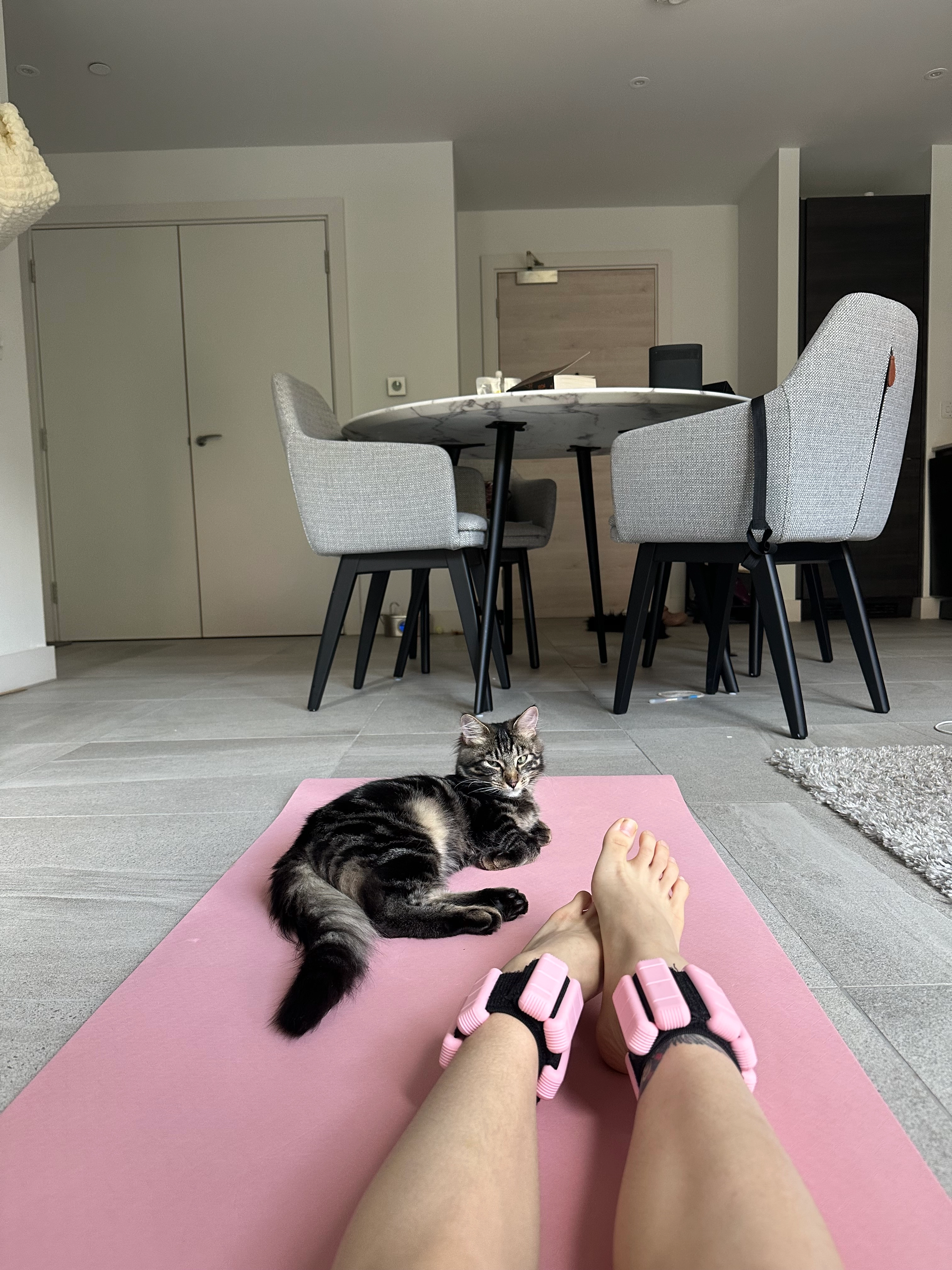 Scar - Rannoch Road, Edinburgh