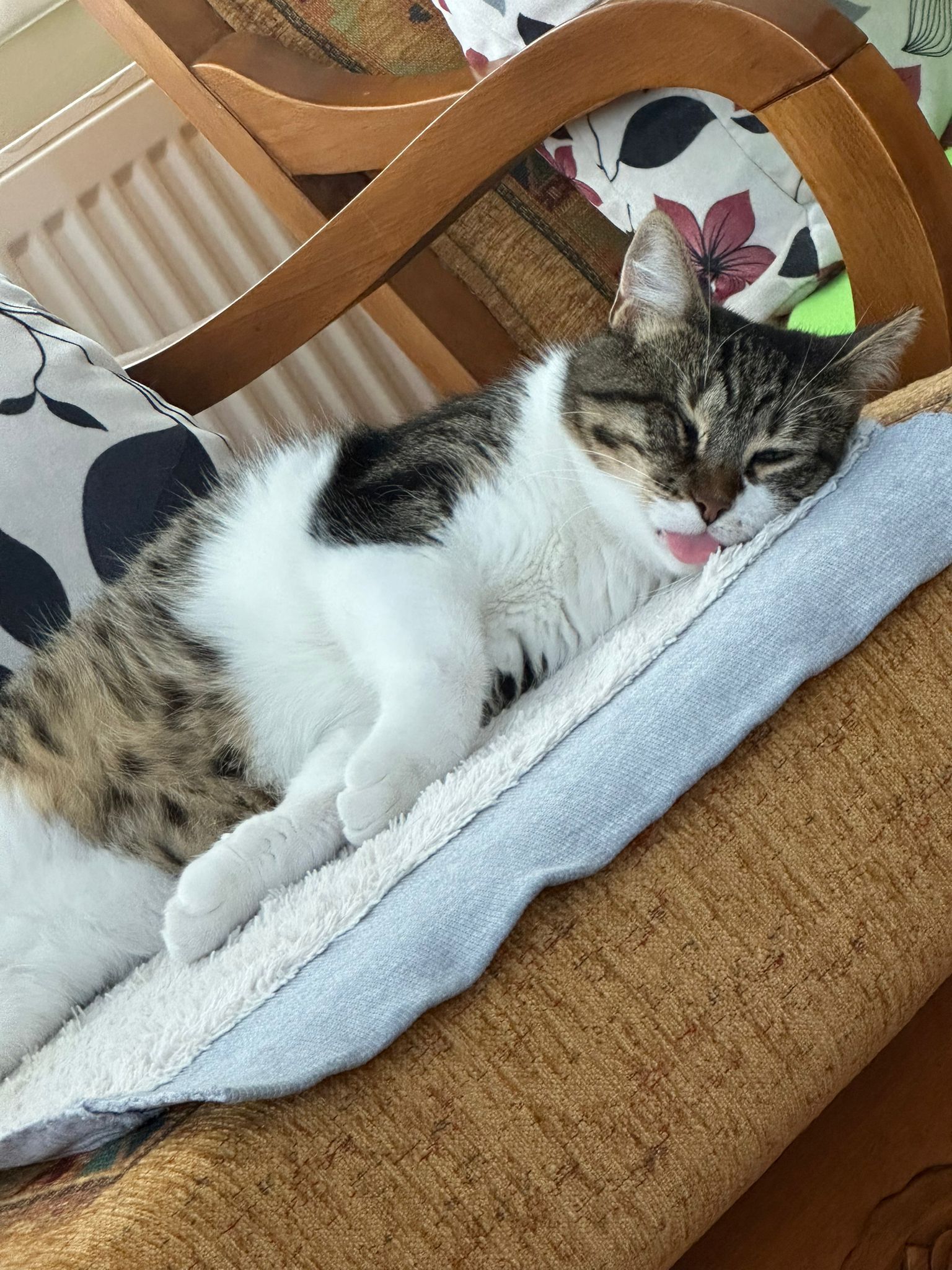 Korsan - Serap Caddesi, Istanbul