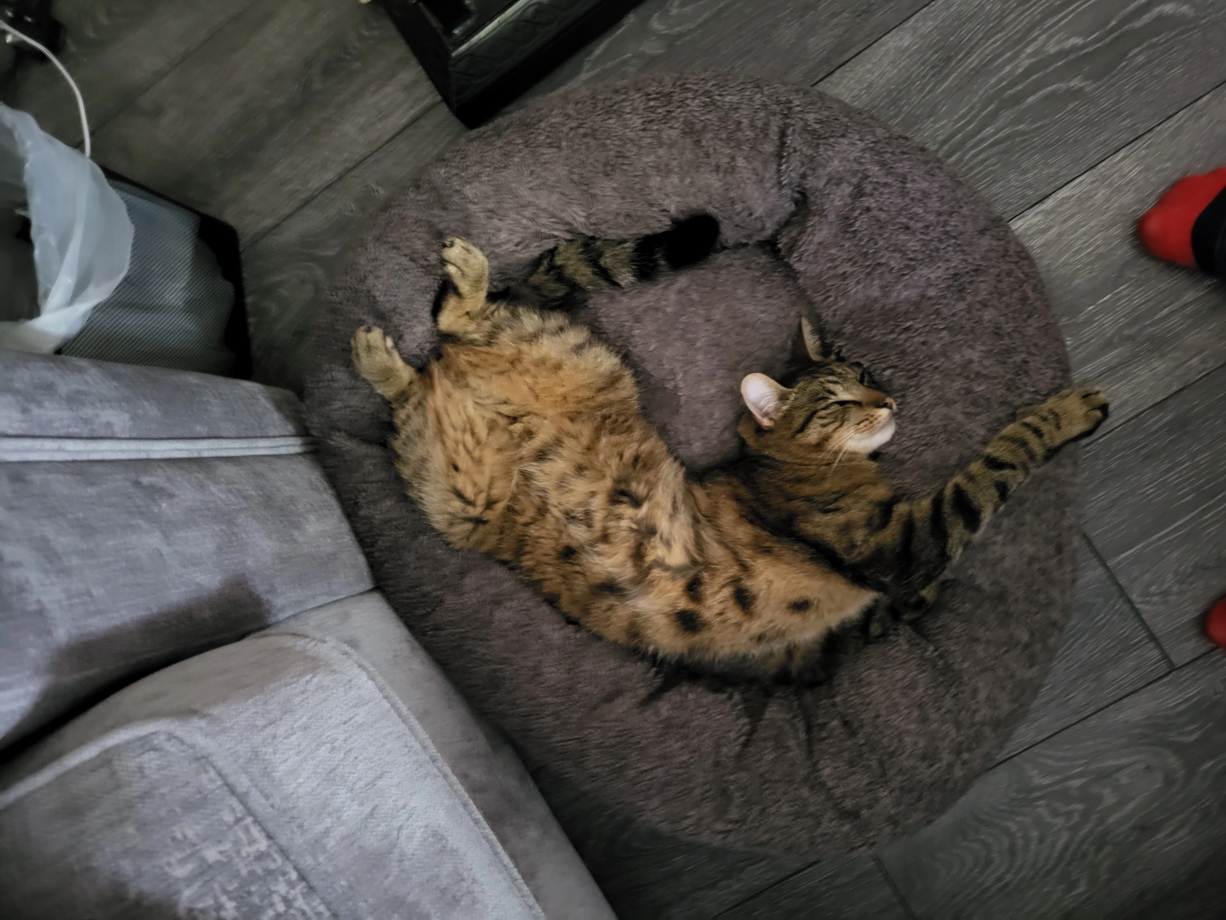 Ares - Cornadowagh, Cashel