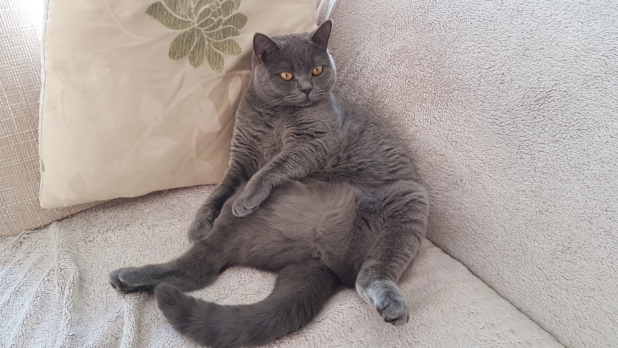 Luna - Michaelstraße, Schwäbisch Hall