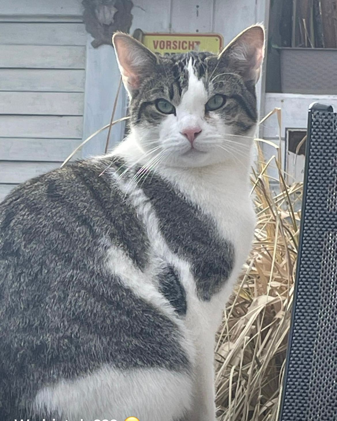 Kuno - Leiteweg, Wilhelmshaven