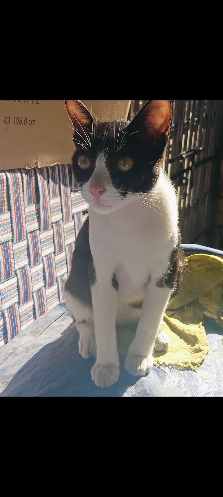 Kalu - Namda Basti, Jamshedpur