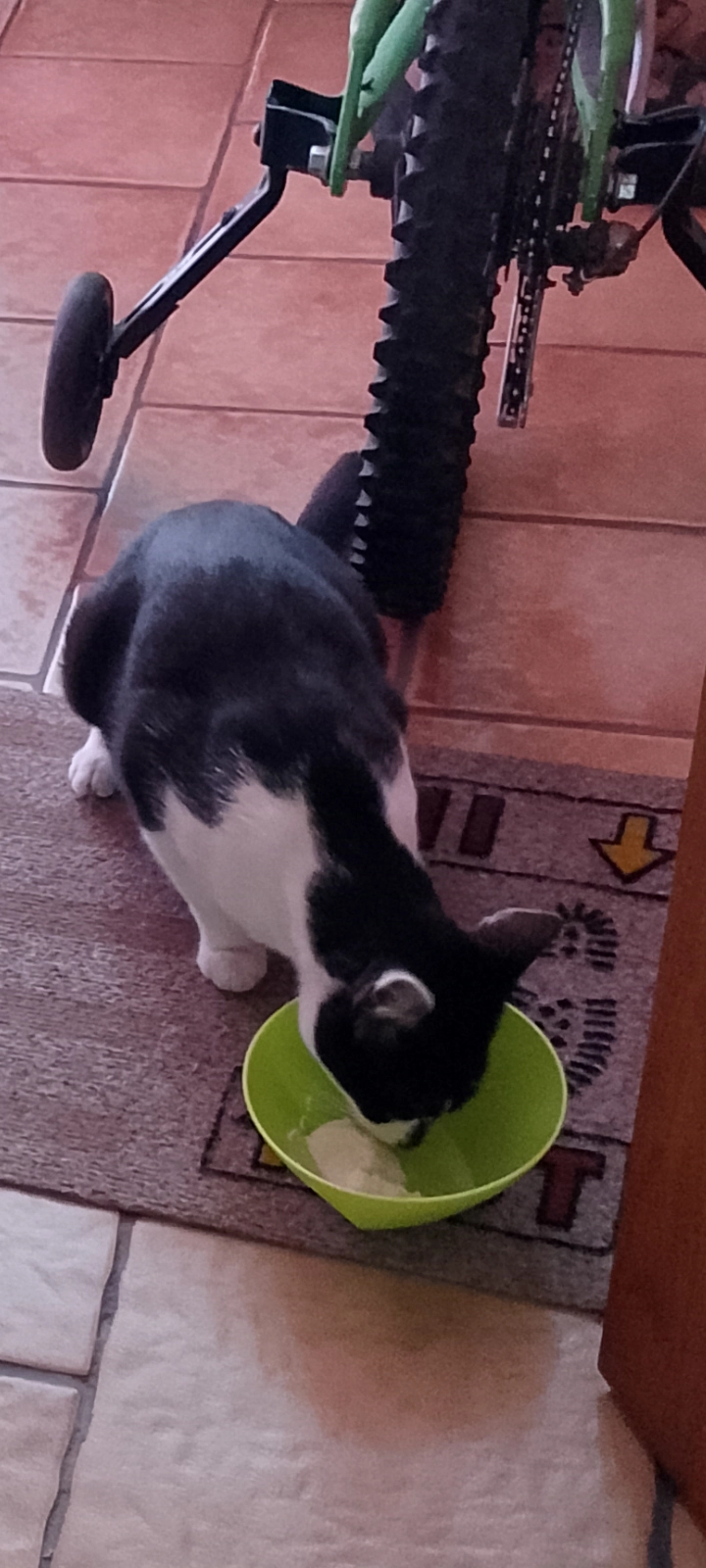 Lucie - 21 Rue Raoul Briquet, Souchez