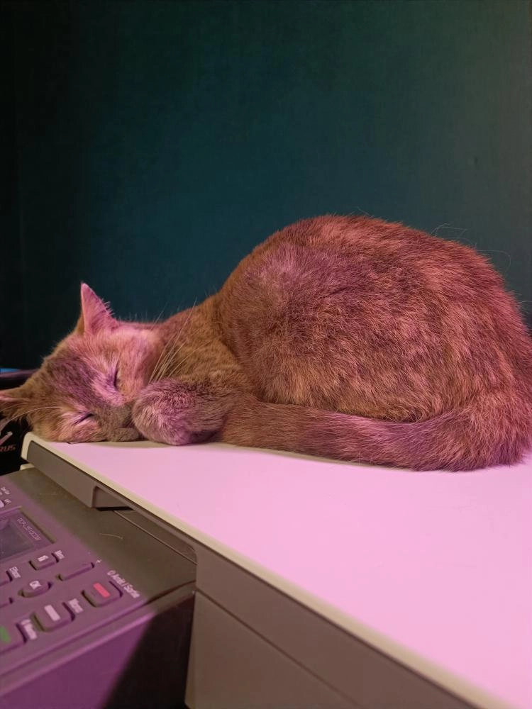 Love - Rue du Marais Sauvage, Saint-Hilaire-la-Palud