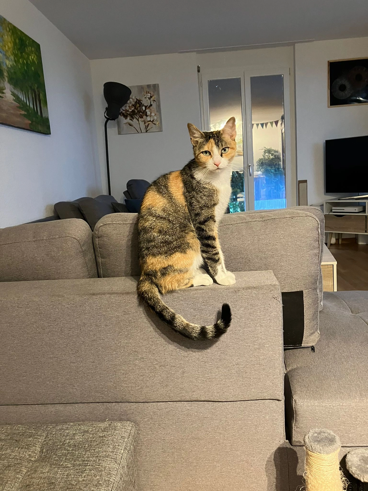 Mia - Moosstrasse 66, Grenchen