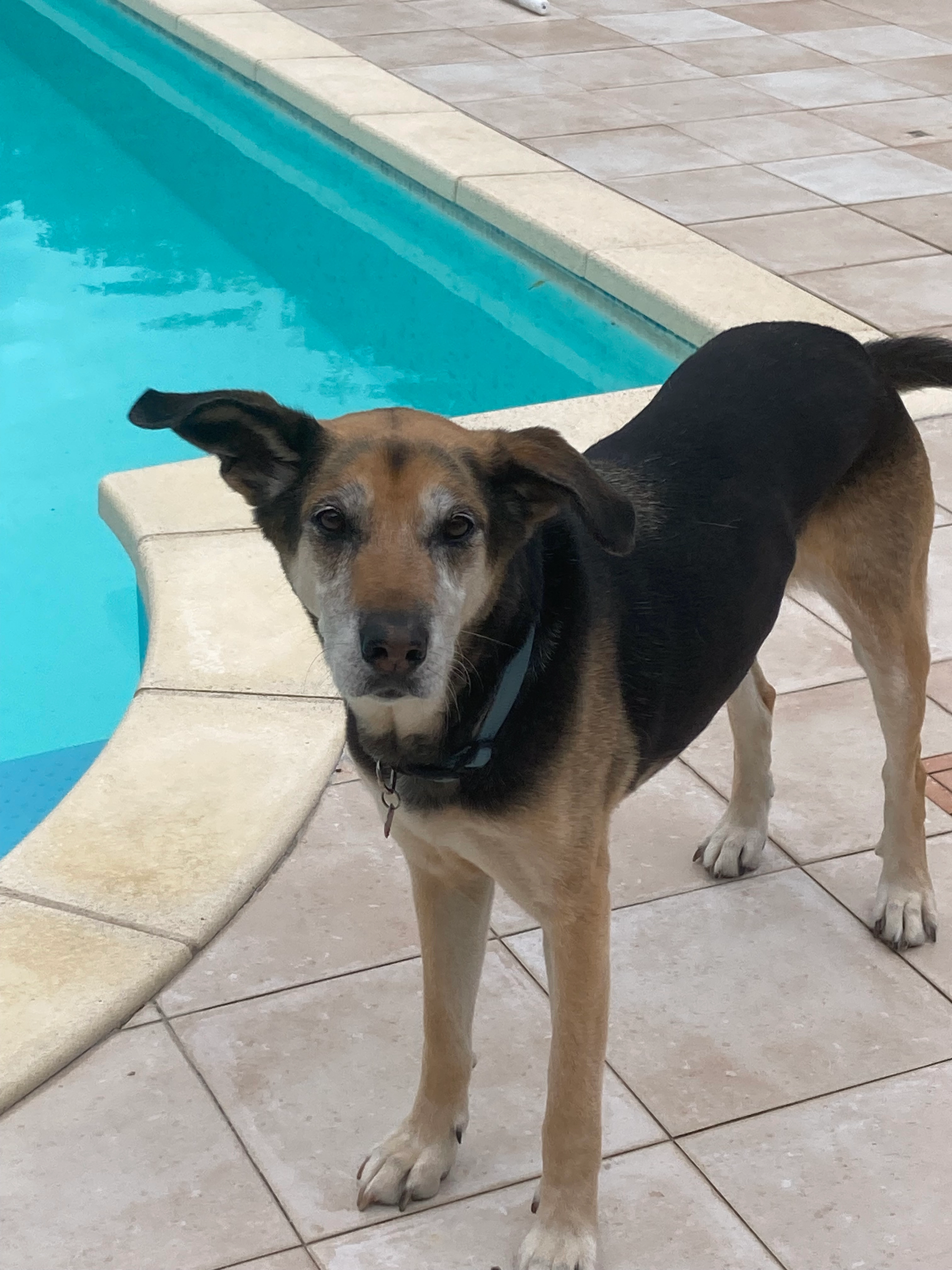 Dalia  - La Résidence, Les Mathes