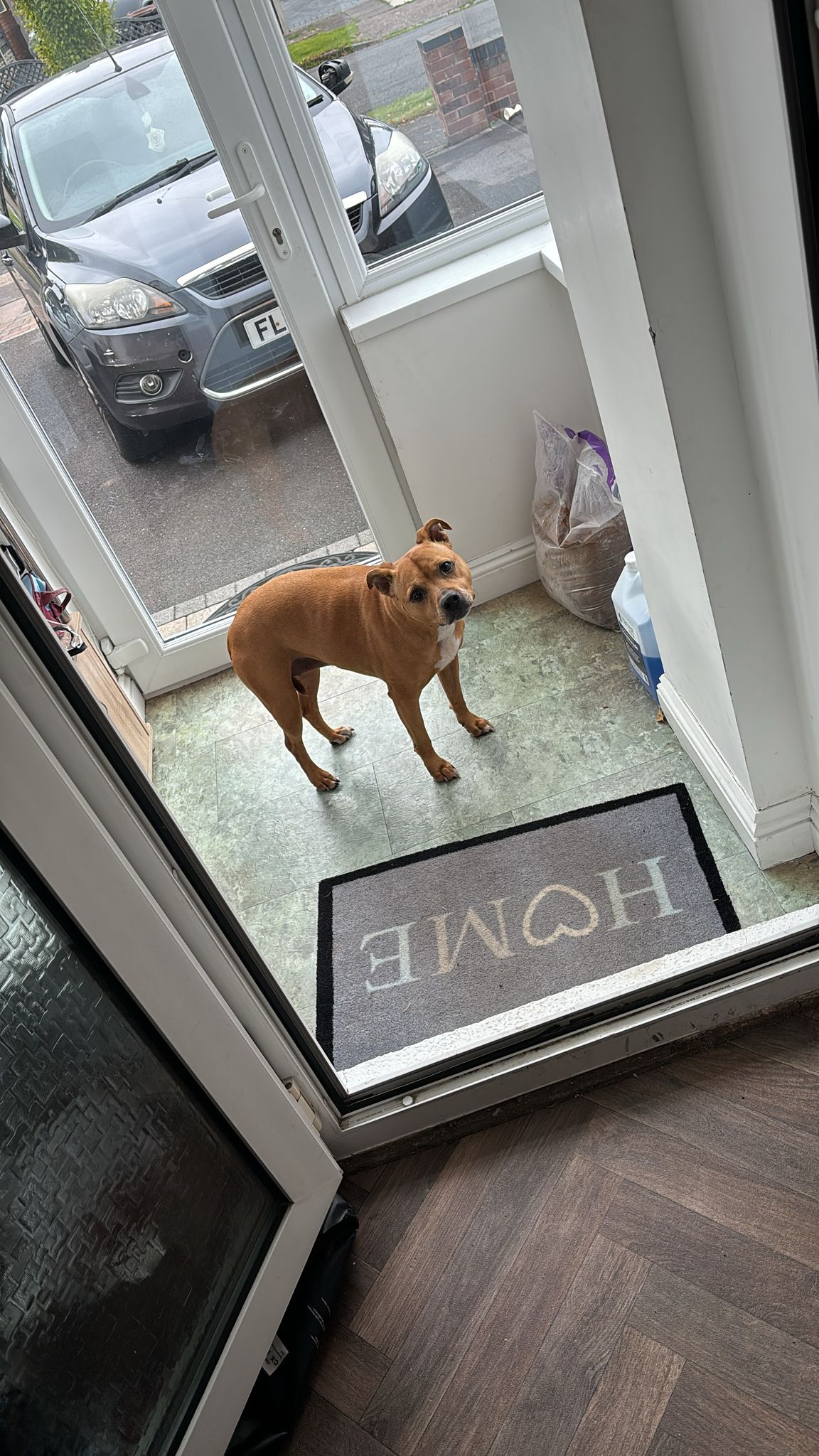 PEANUT - Kingsdown Road, Birmingham