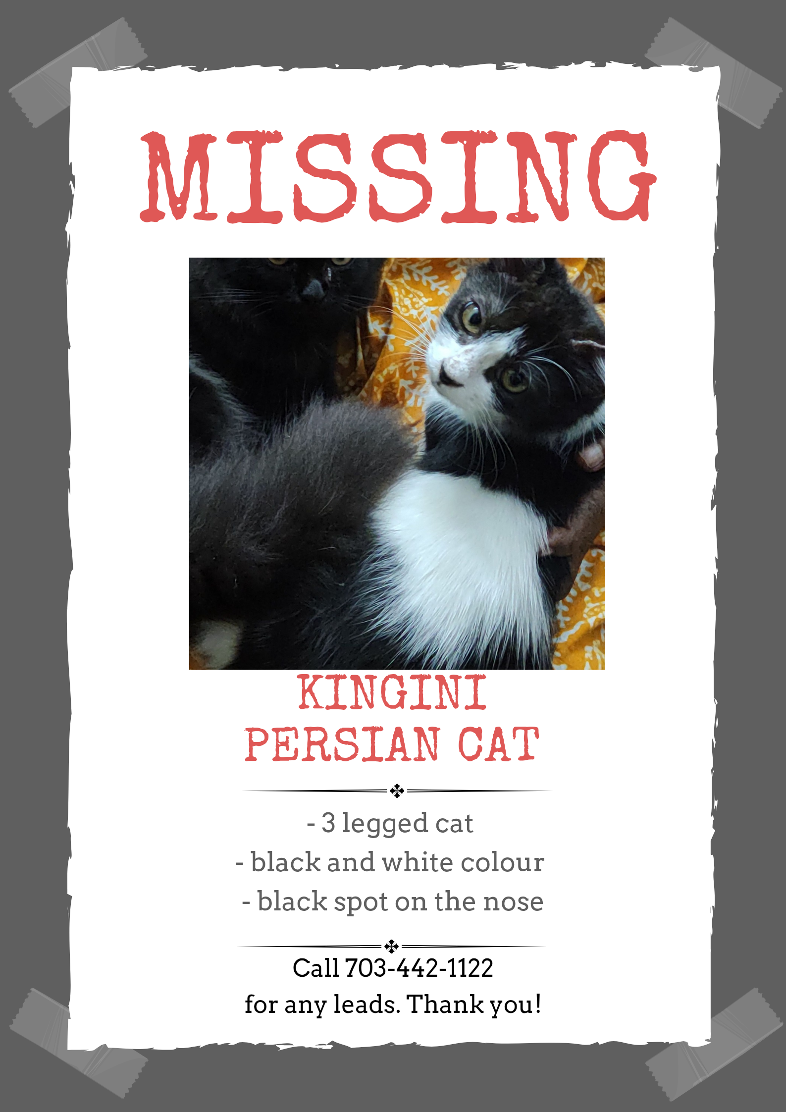 KINGINI  - Rsac Road, Ernakulam