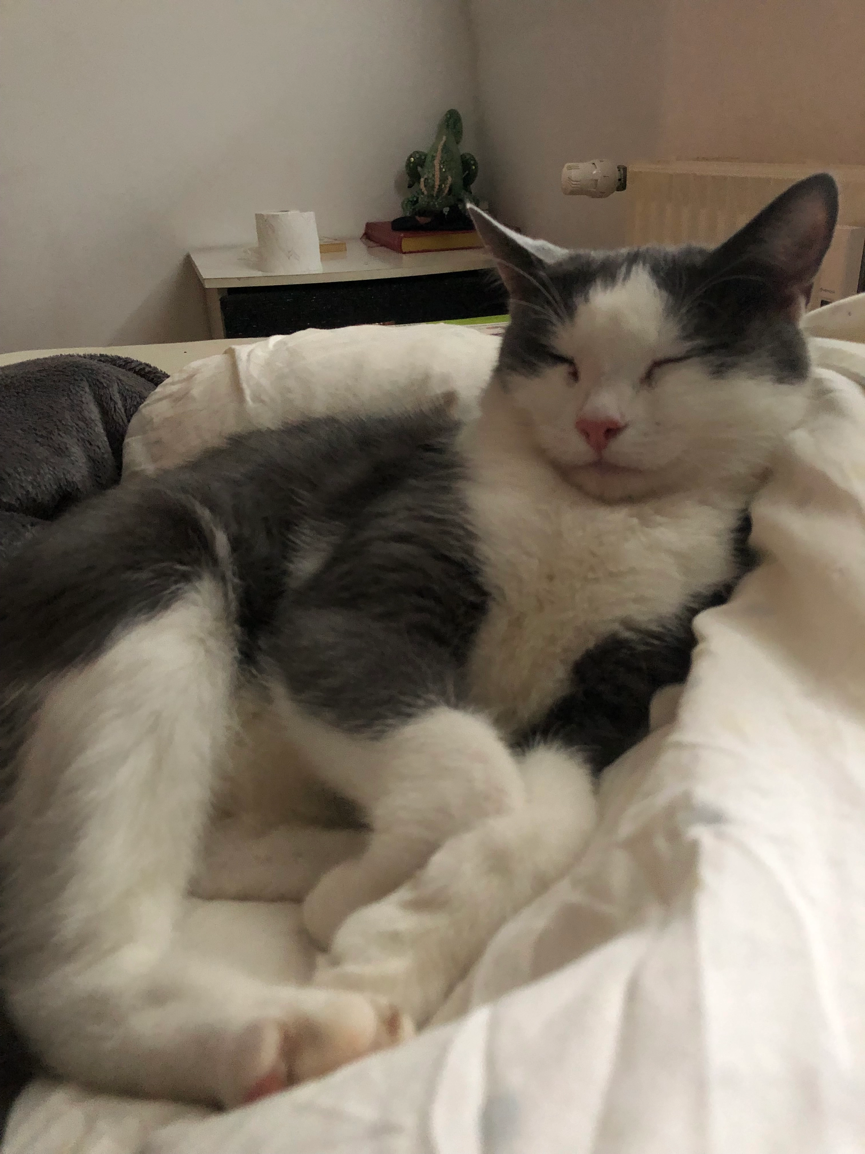 Myrina - Frühlingstraße, Bad Reichenhall