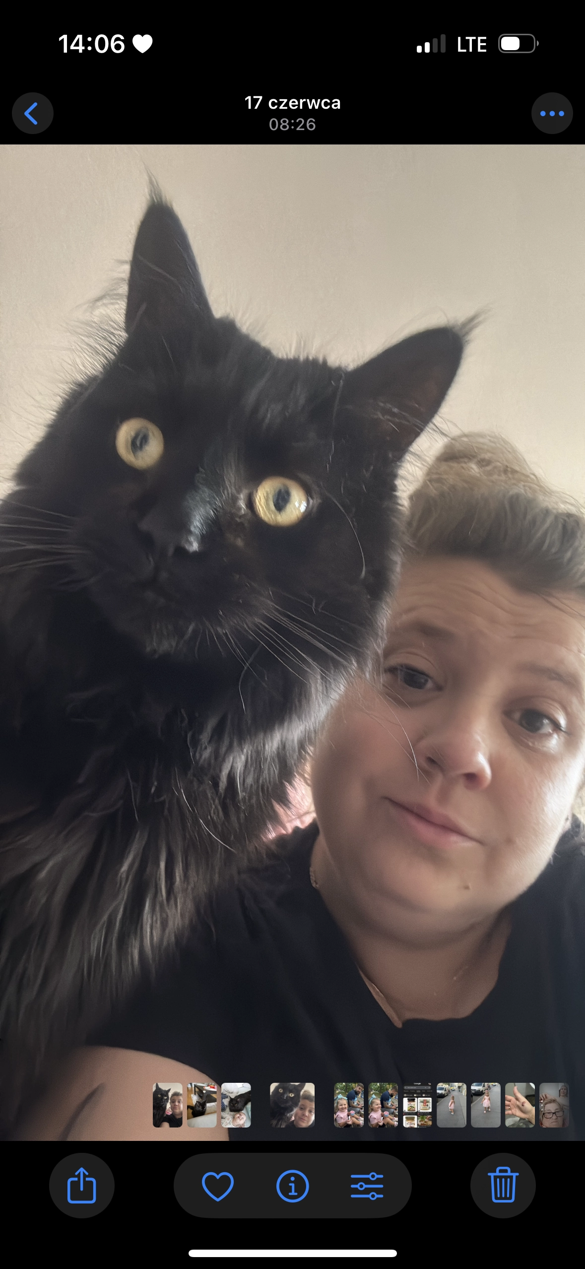 Dropsik  - Scheffelstraße, Wien