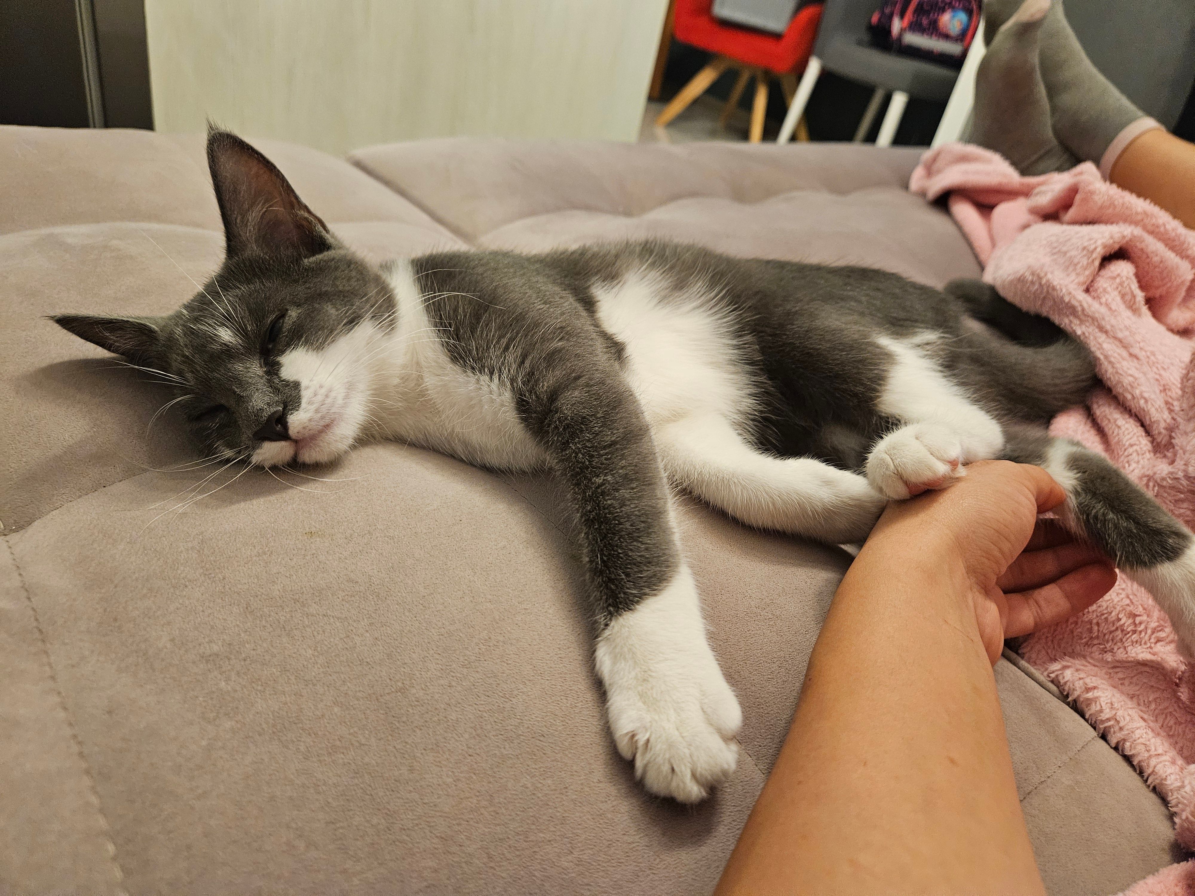 Sara - Sudetenstraße, Berching