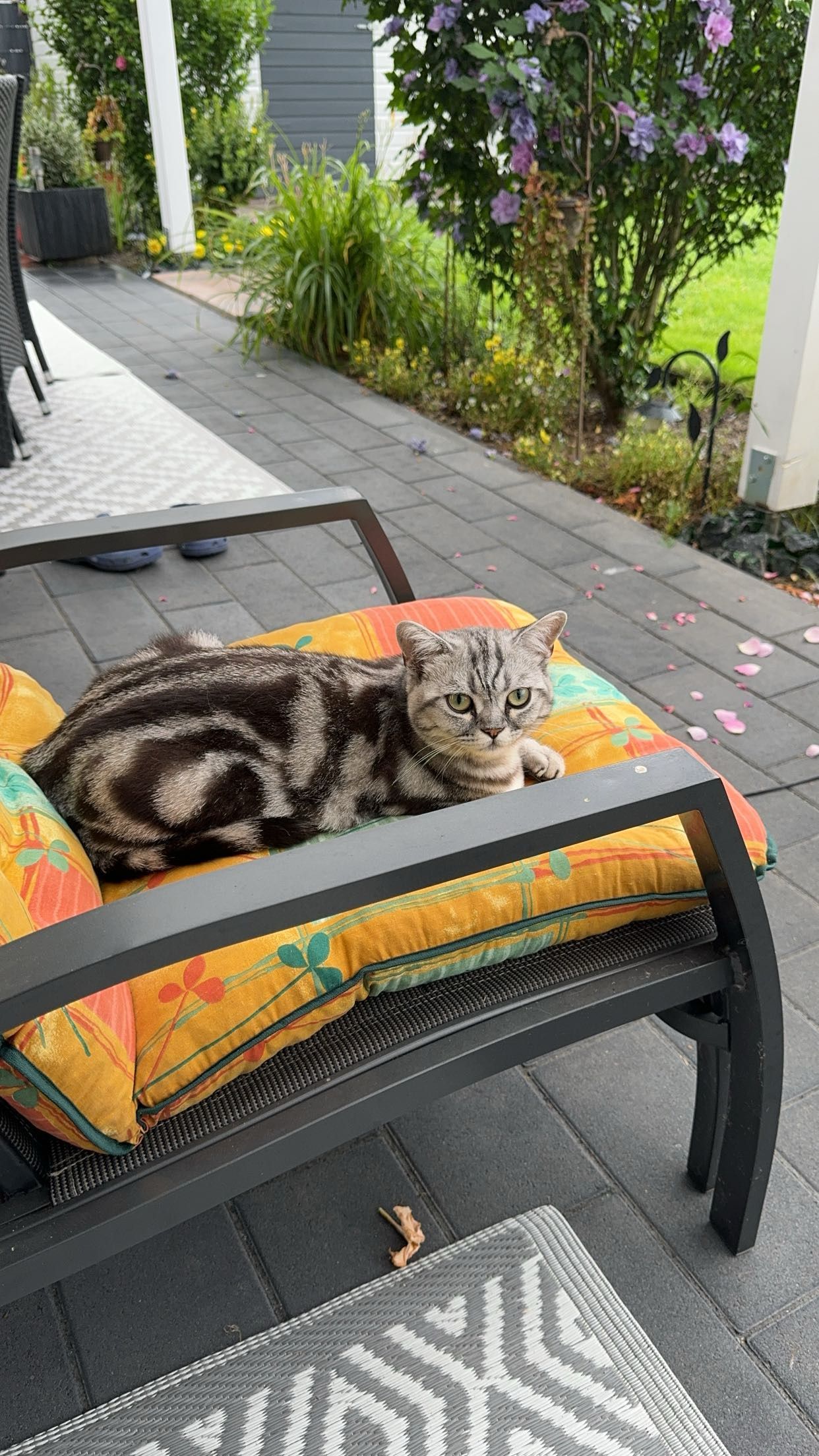 Bella - Wahlholzer Straße, Wittlich