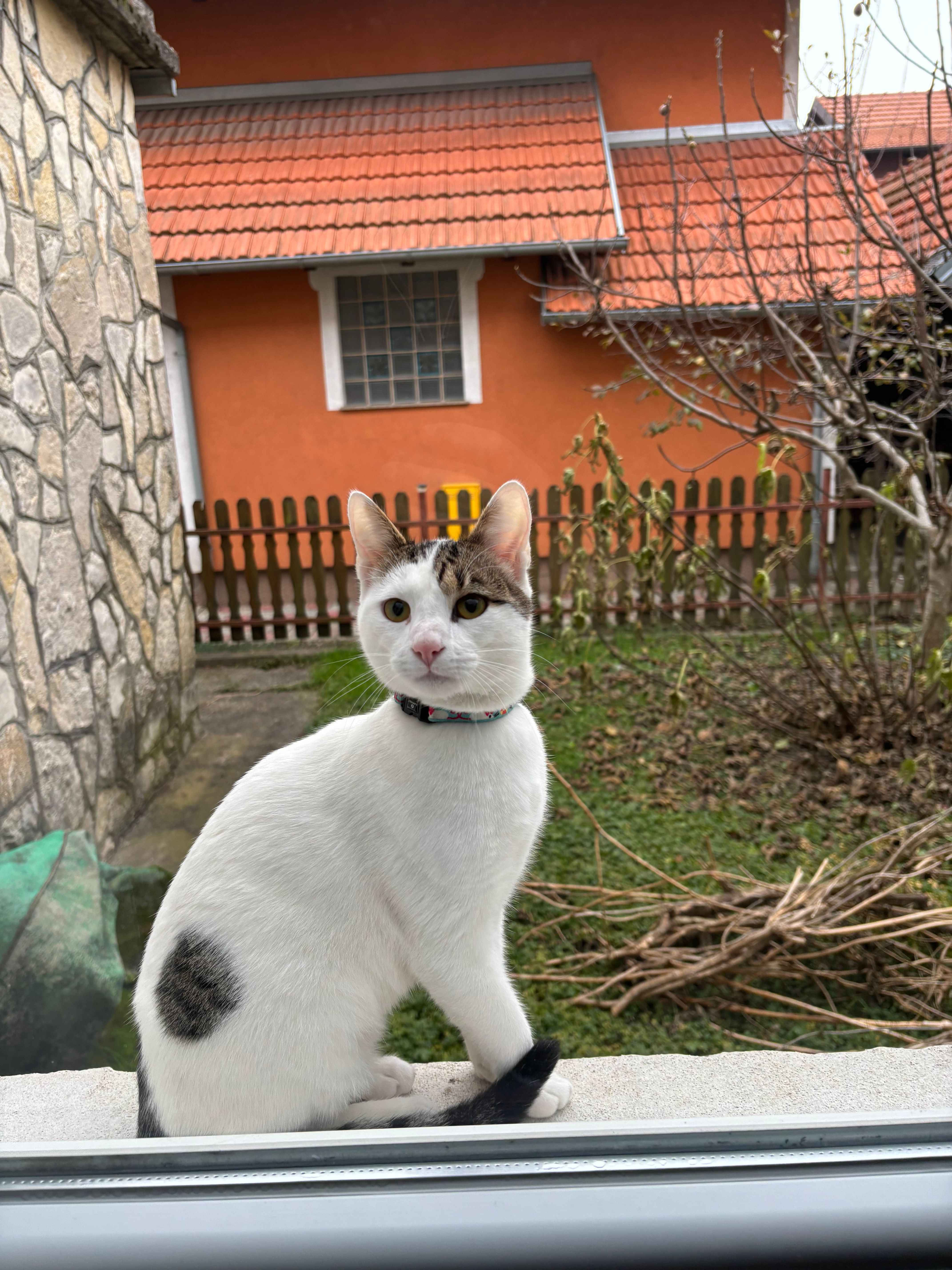 Slavko - Ulica Josipa Bedekovića 3, Zagreb