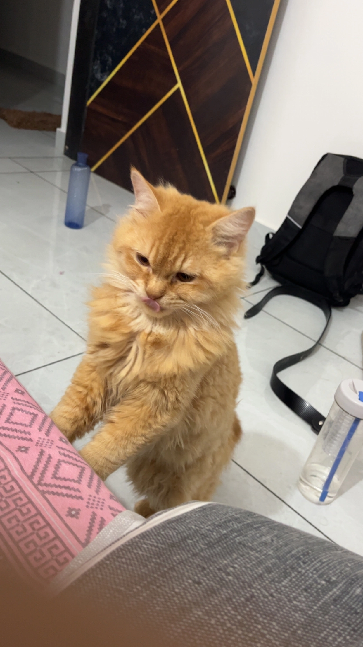 Coco  - Wagholi Road, Pune City