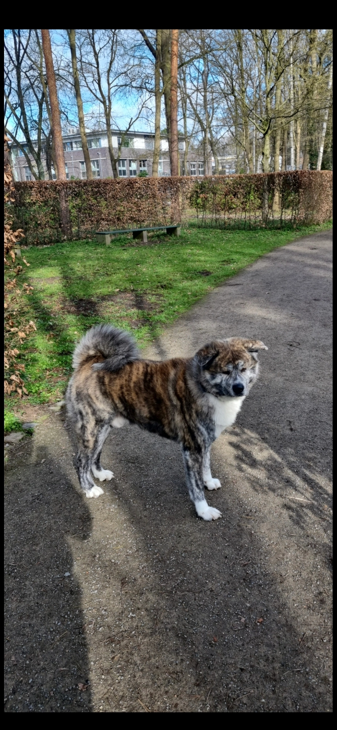 Chucky  - Auf den Middeln, Harsewinkel