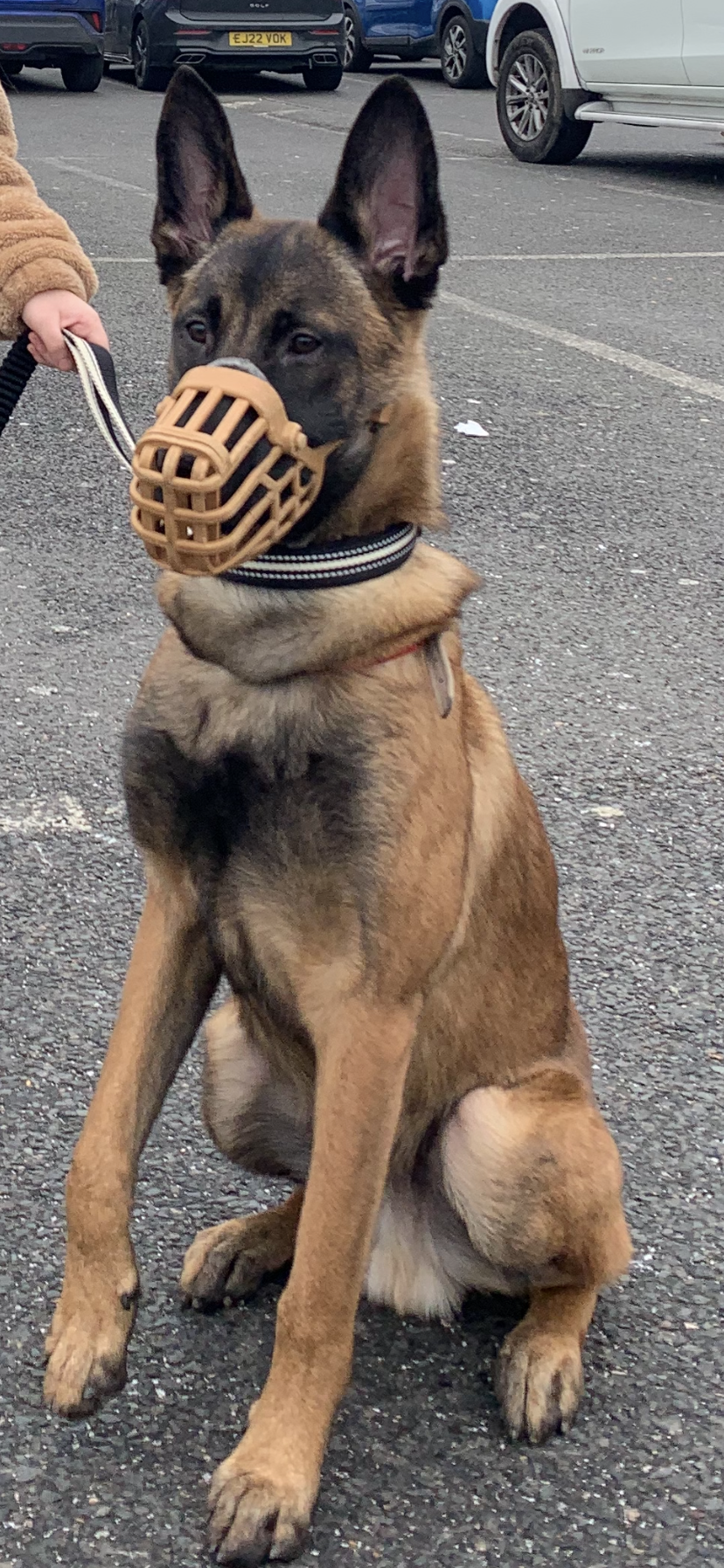 Pablo - Montagu Road, London