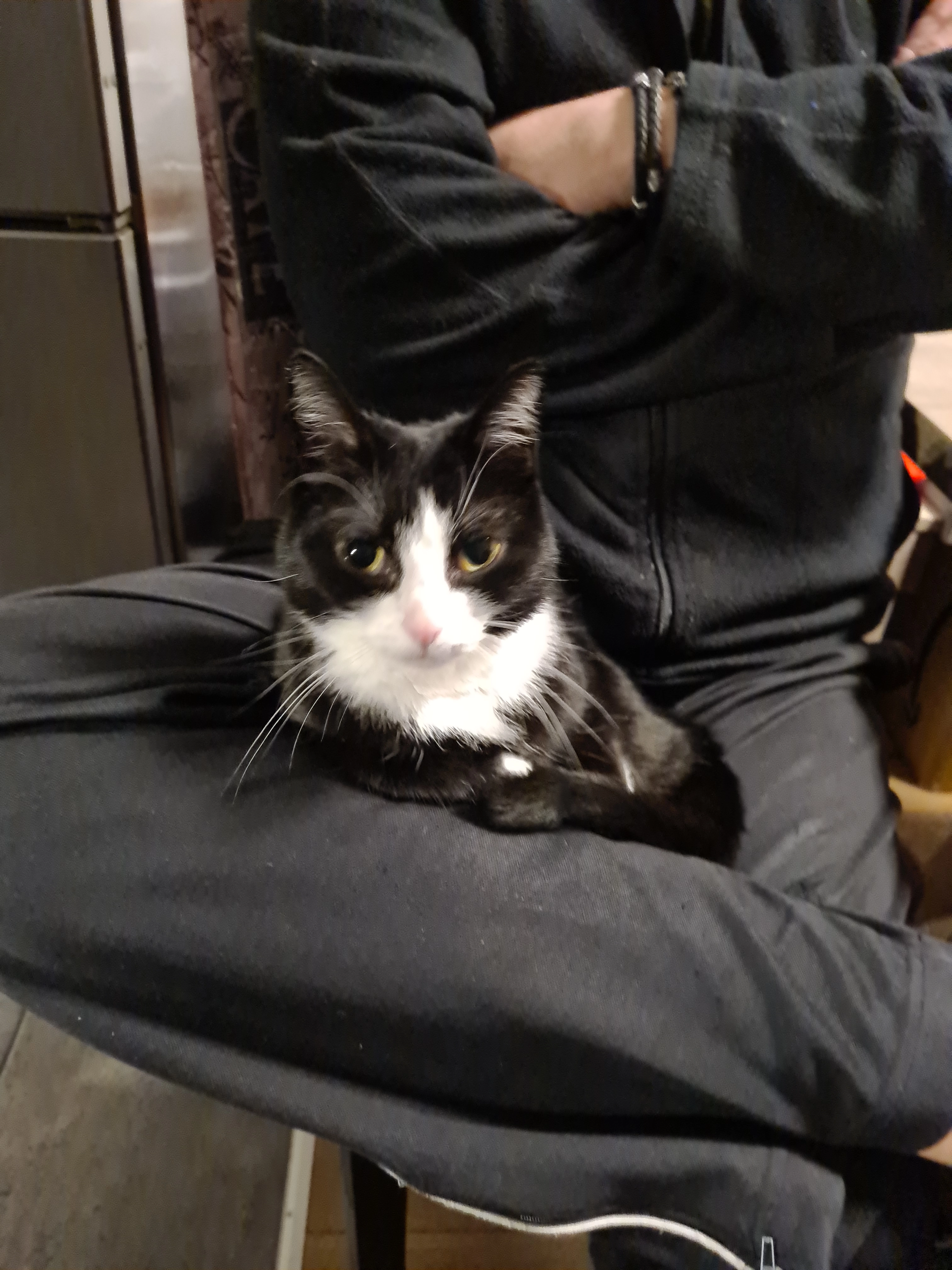 Mia - Philippstraße, Penzberg