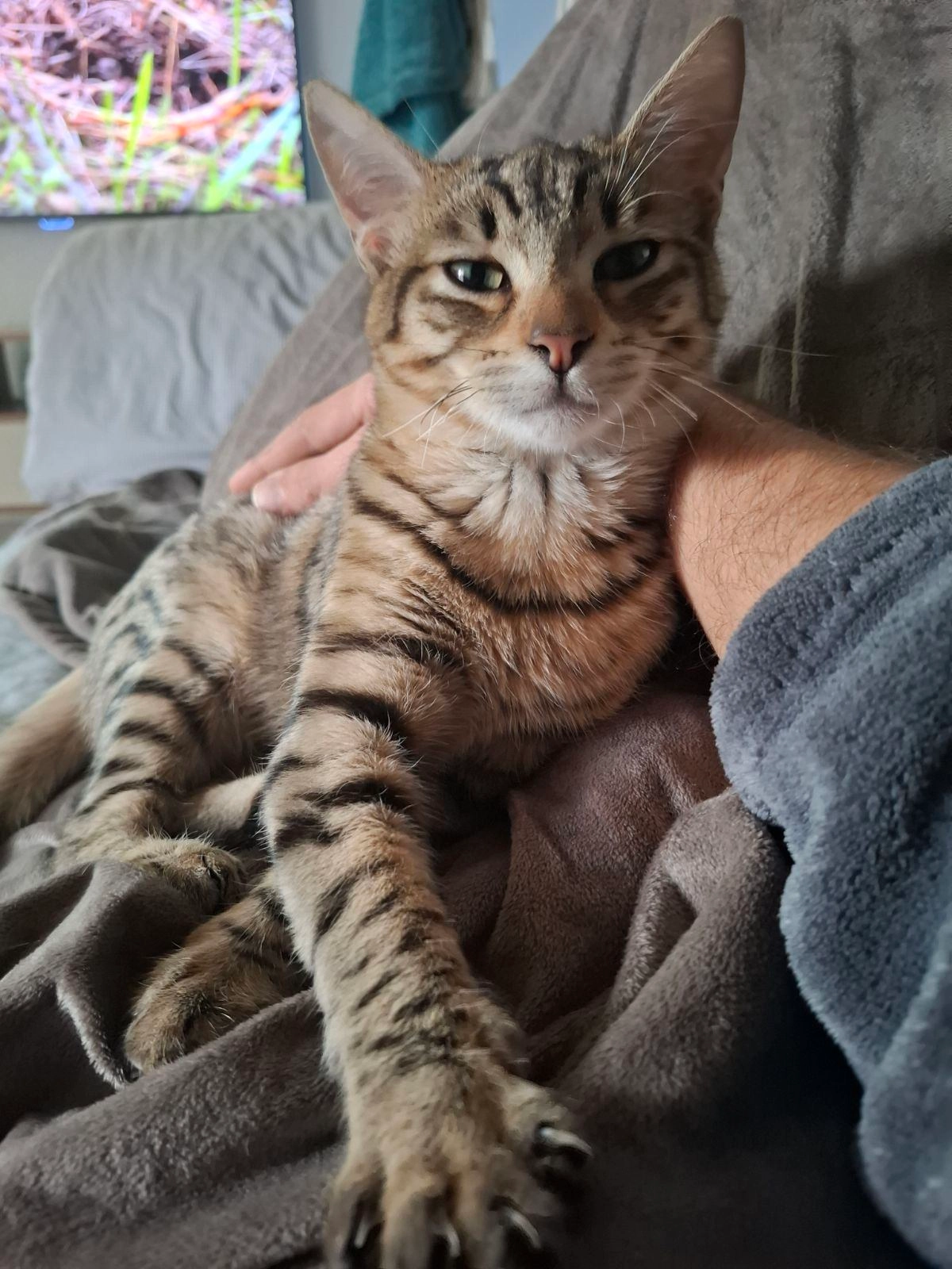 Cactus  - 777 Boulevard Georges Selliez, La Croix-Valmer