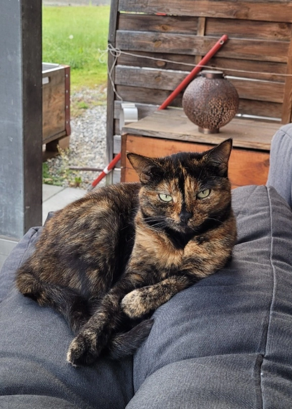 Rani - Muristrasse 172, Bern