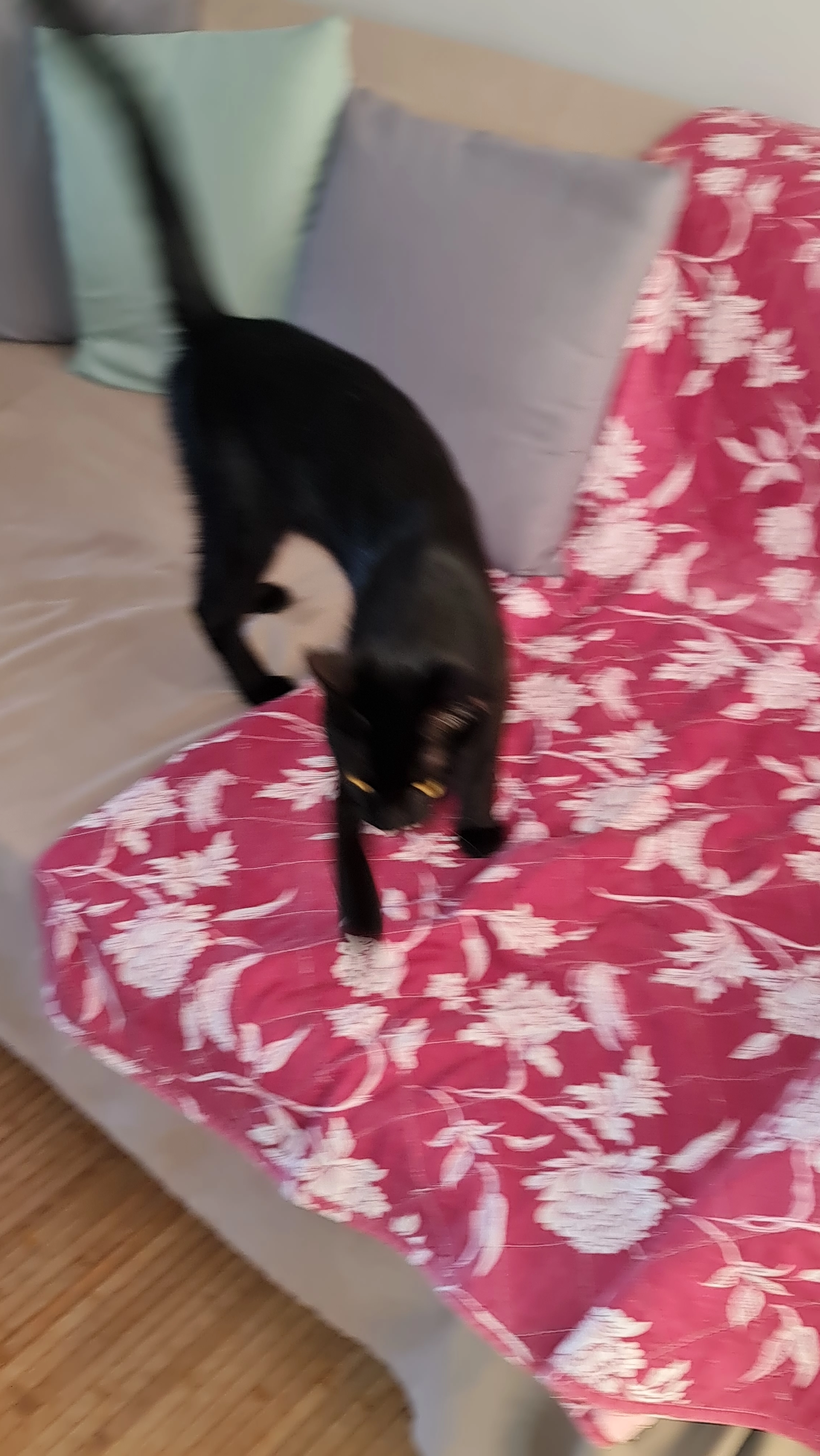 Orion - Place Du Gabizos, Mourenx